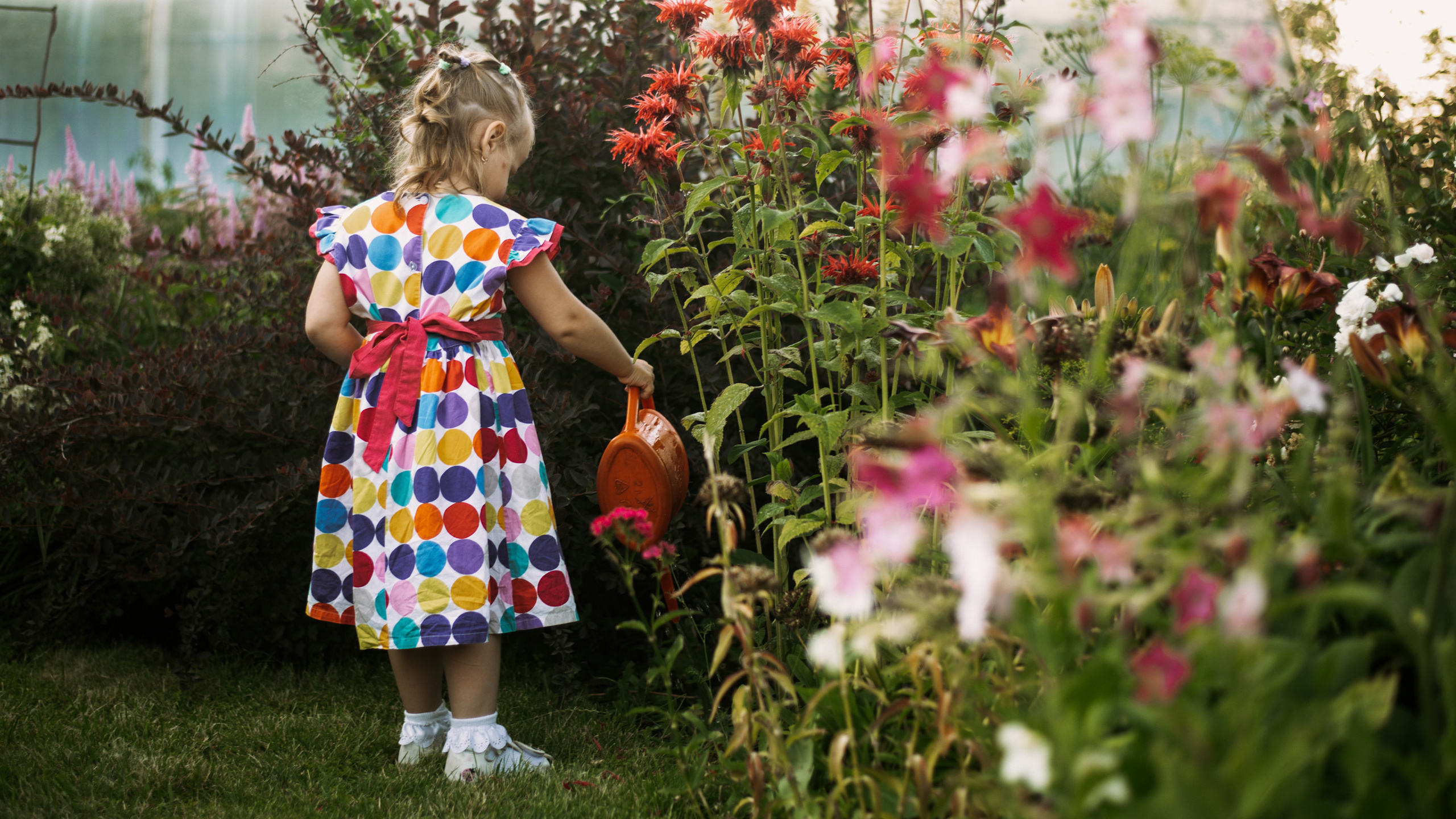 Портфолио. Репортажный фотограф в Кемерово