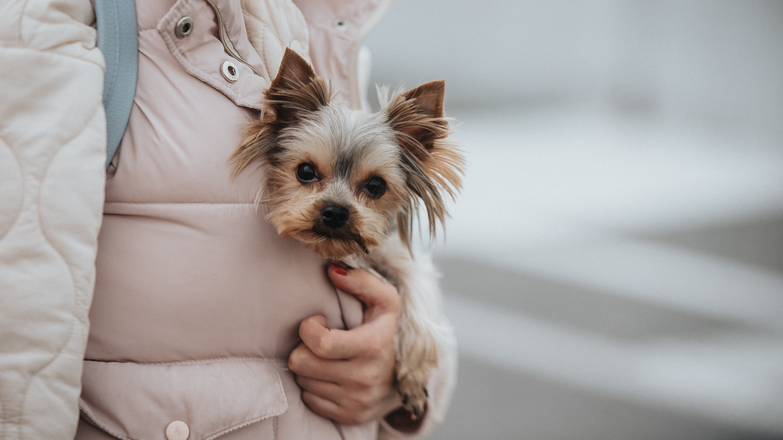 25.09.2022 — КСКГ Классика — Этап 5. Репортажный фотограф в Кемерово
