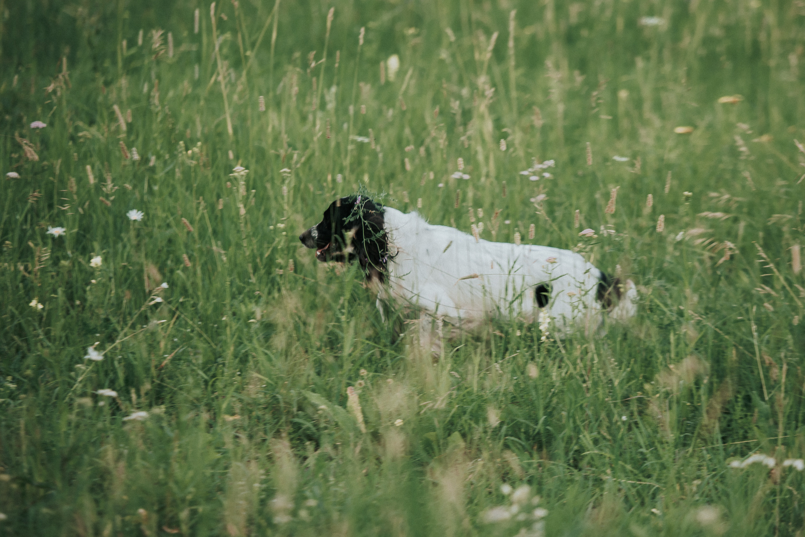 На природе. Репортажный фотограф в Кемерово