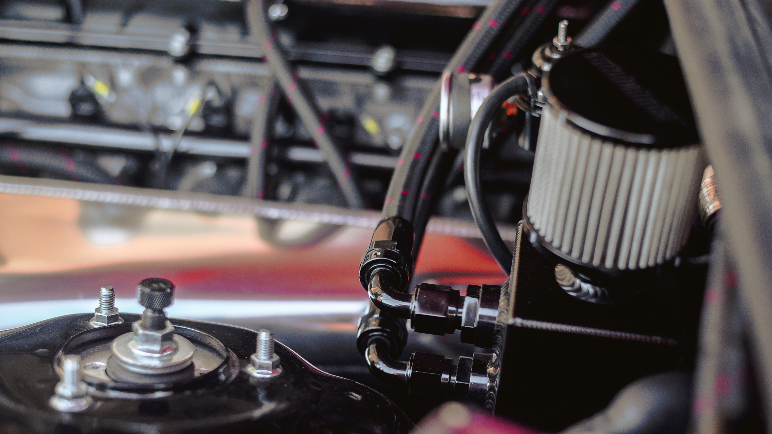 Портфолио. Репортажный фотограф в Кемерово