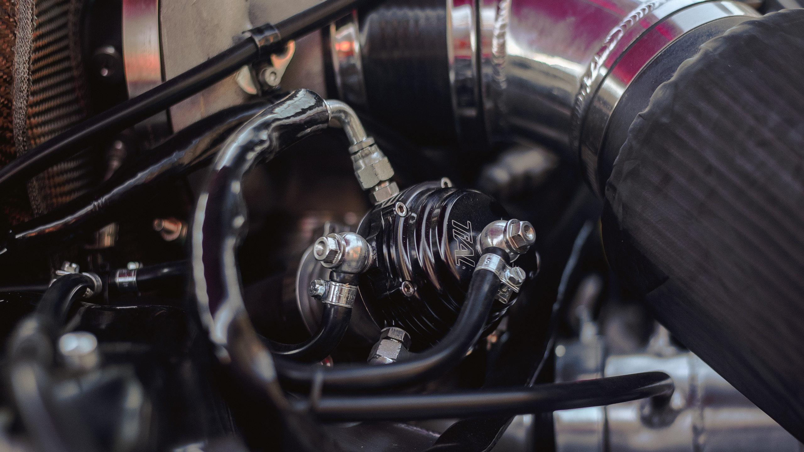 D-One Chaser. Репортажный фотограф в Кемерово