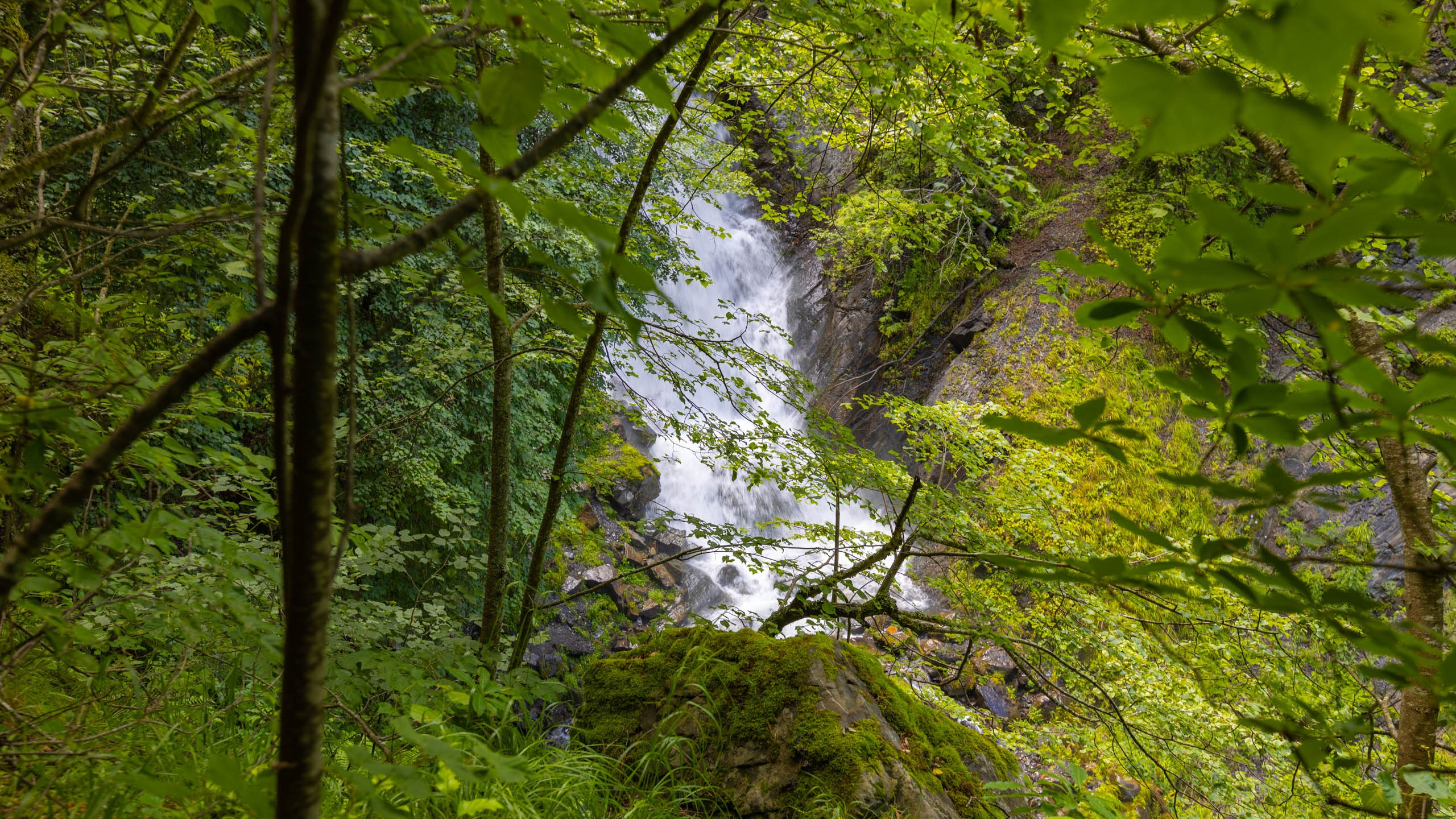 2023 07 Осетия, Ингушетия. Фотографии