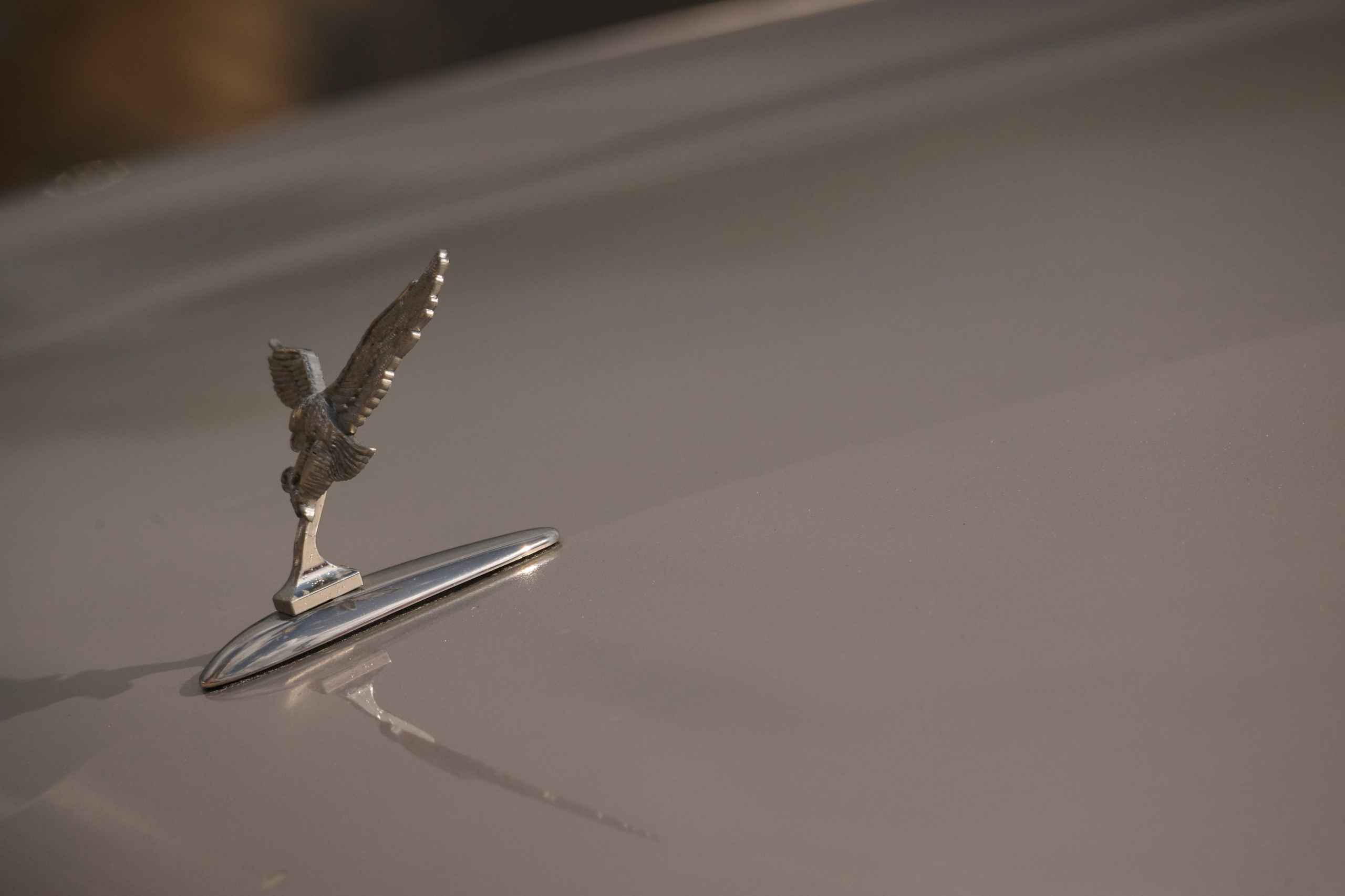 3 этап кубка Ракеты 2025 год. Сергей Богомолов. Свадебный и семейный фотограф