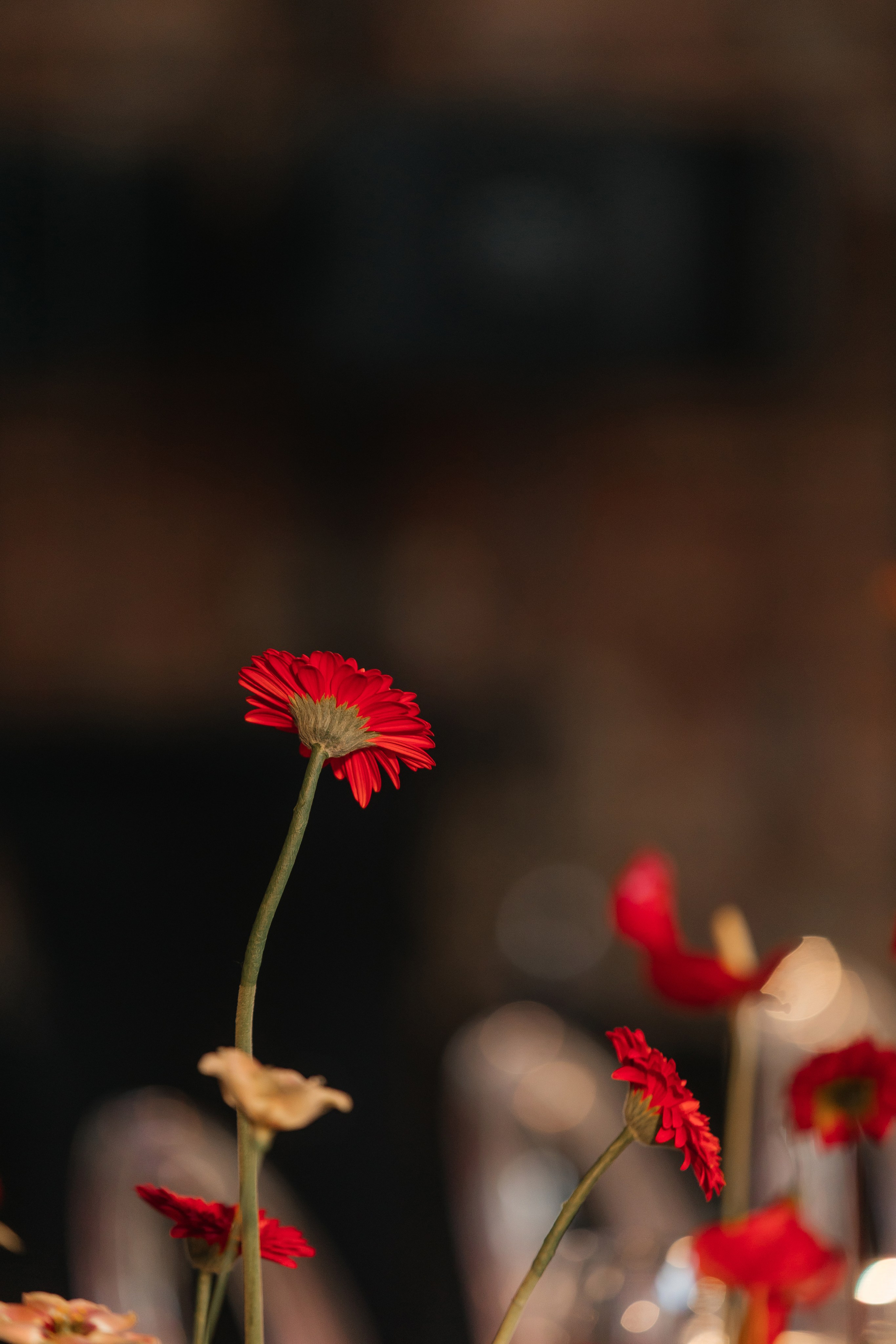 Никита и Аня. Свадебный и Репортажный фотограф Нижний Новгород Москва Ежов Иван