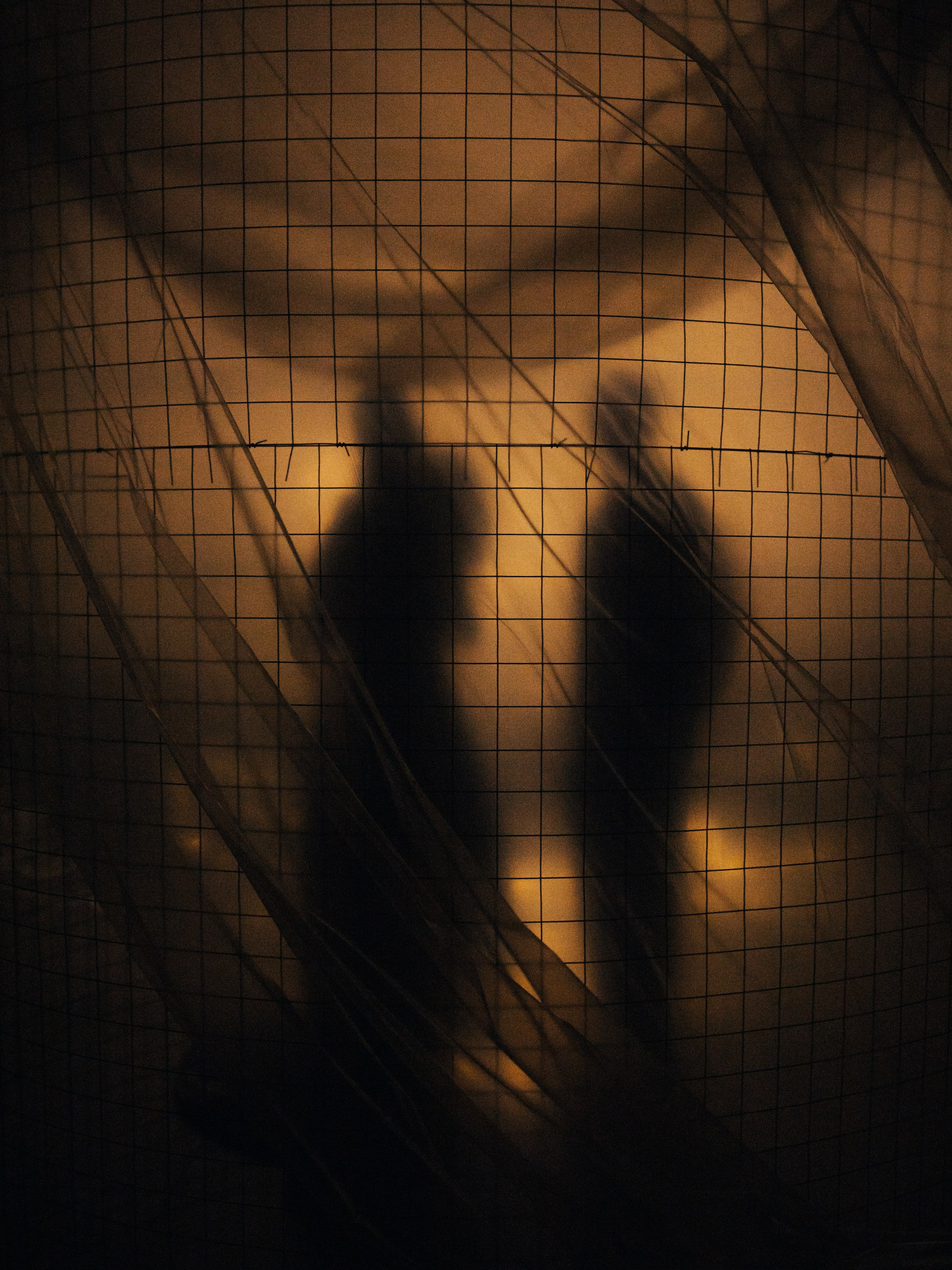 Фотограф Дубровская Виктория