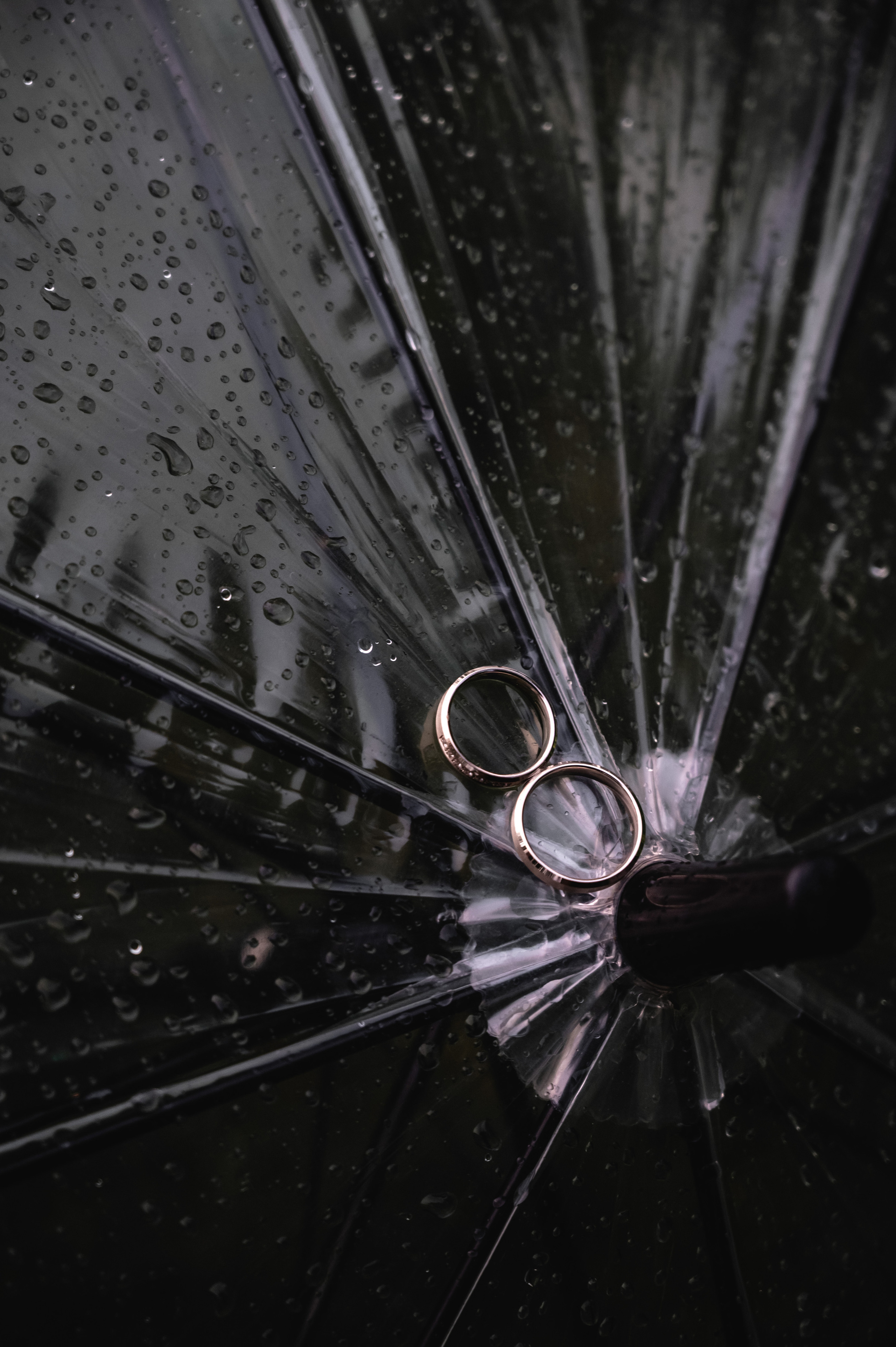 Карина & Алексей. Свадебный фотограф Татьяна Сорока Москва и МО