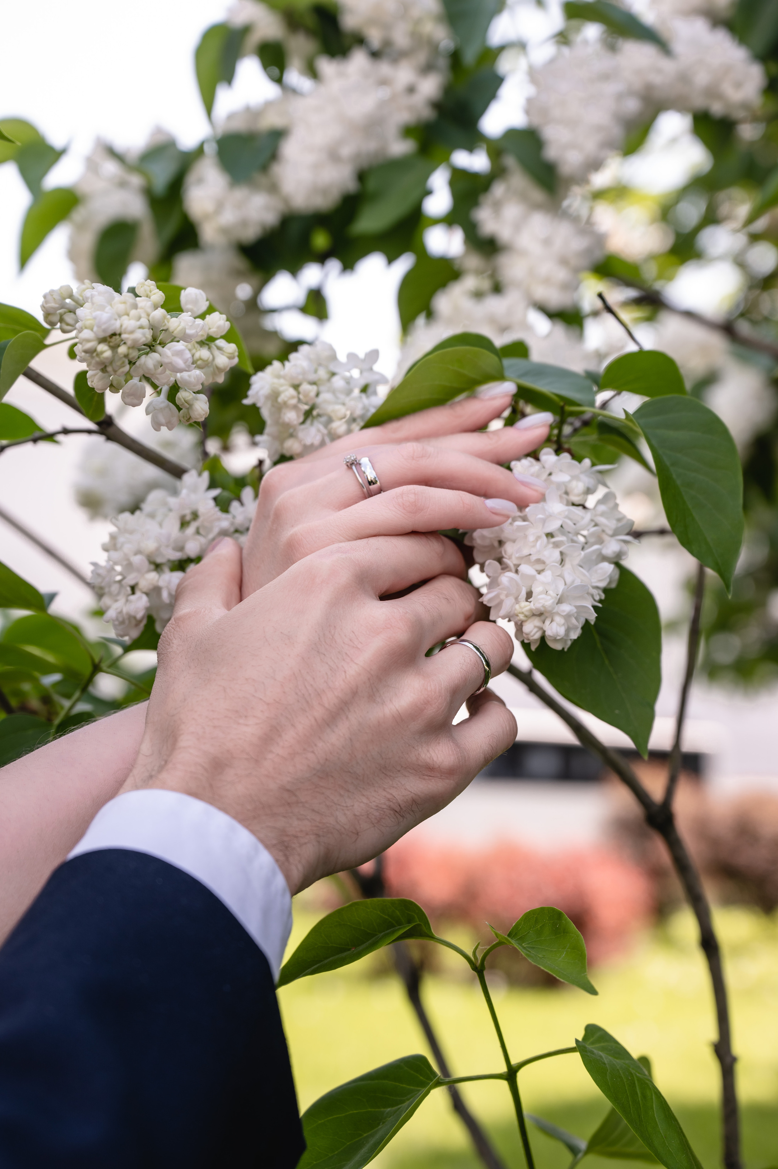 Софья & Андрей. Свадебный фотограф Татьяна Сорока Москва и МО