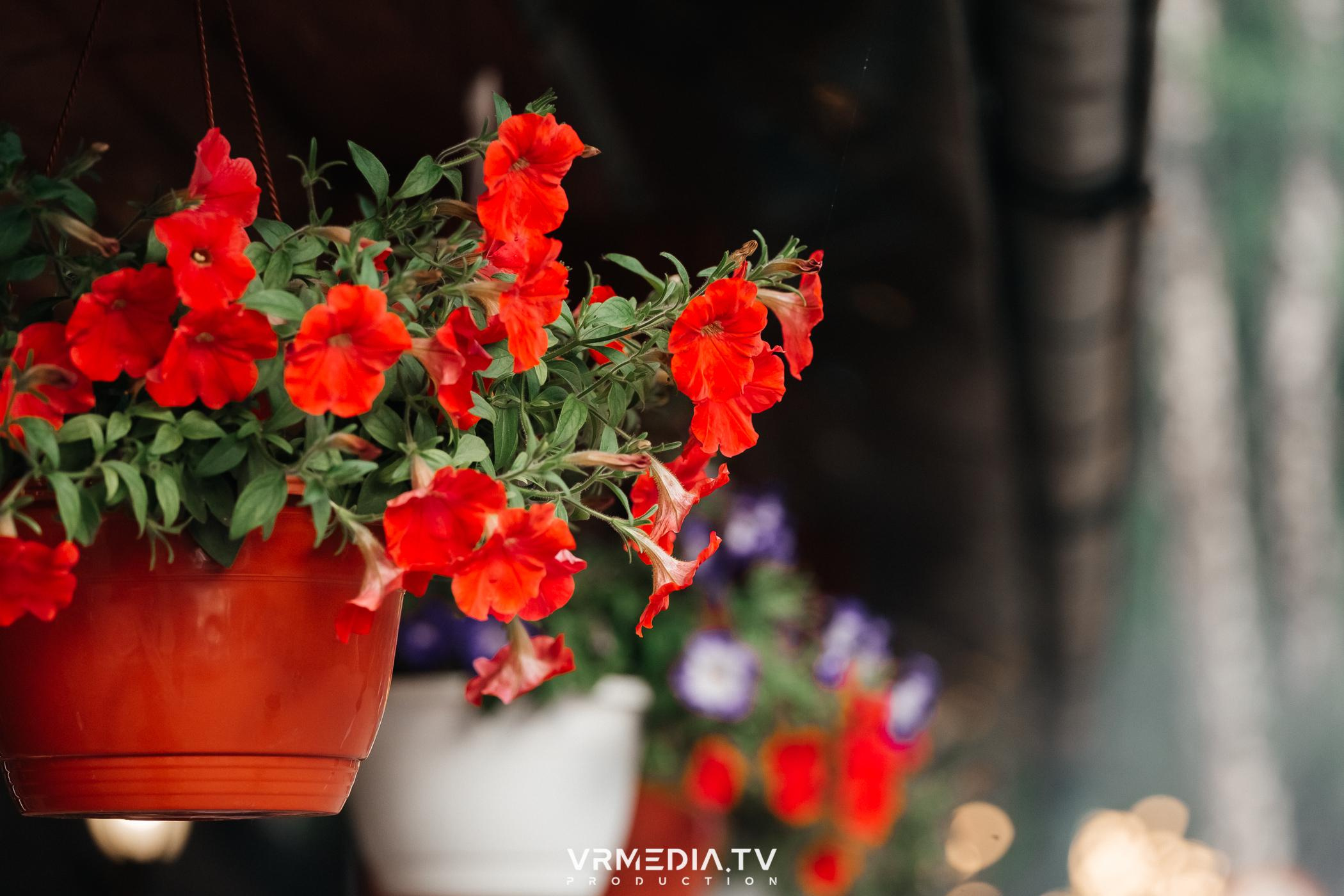 В гостях «У Петровича»