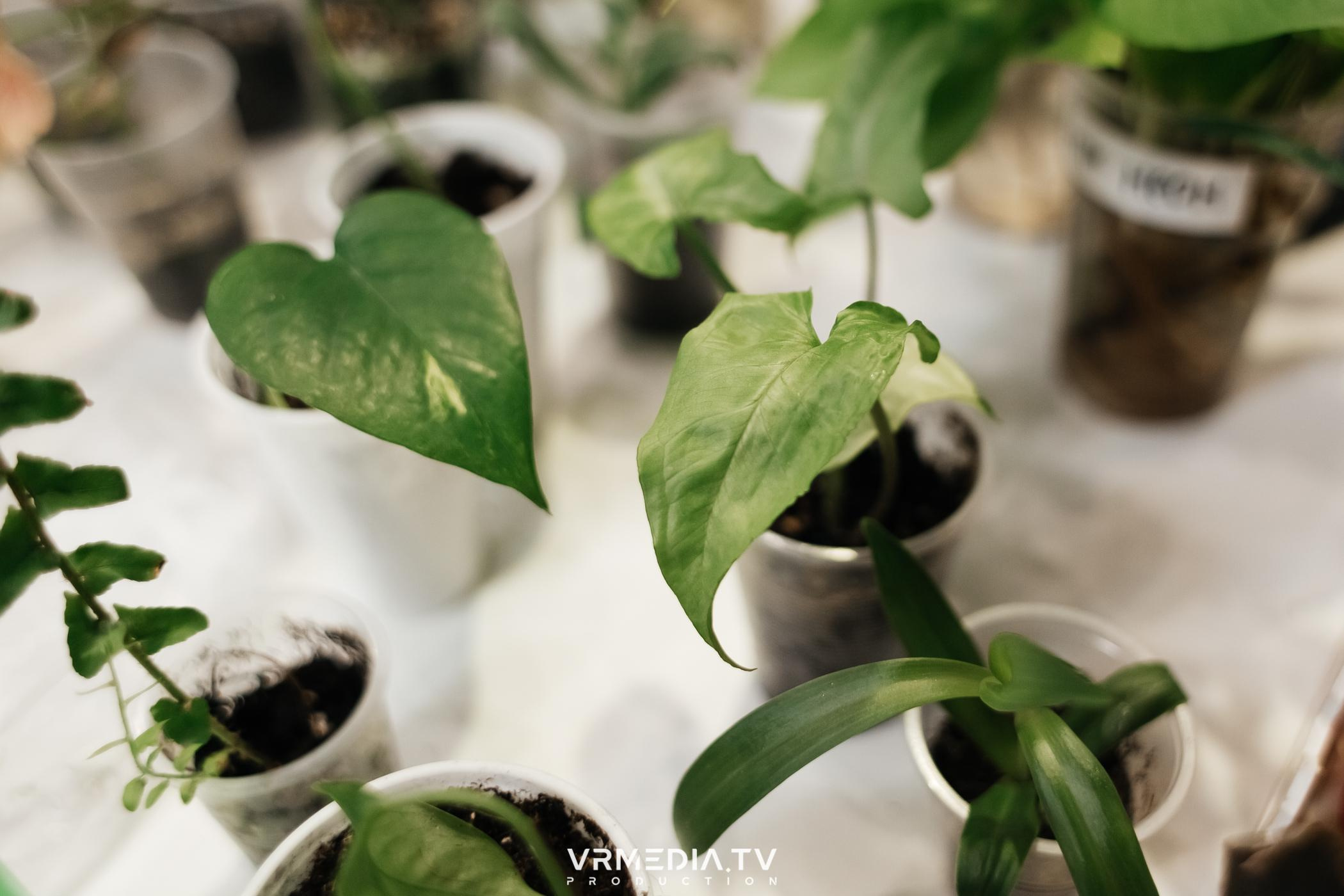 Garazhka в культурном пространстве «Редакция»