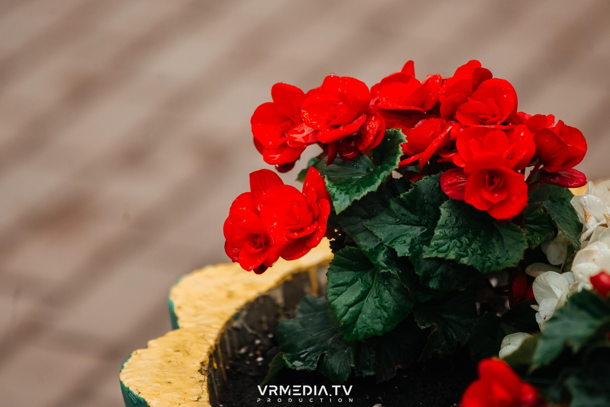 В гостях «У Петровича»