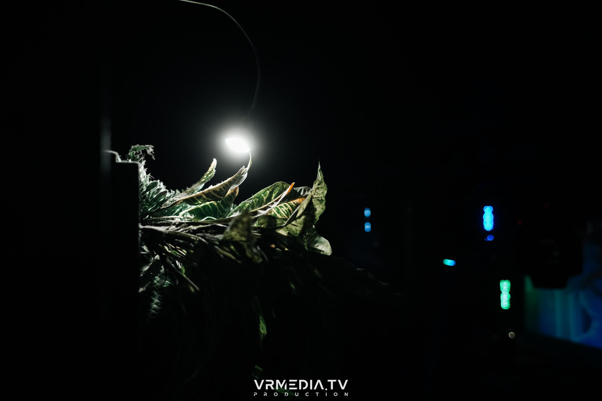 Выходные в баре «DOSKI»