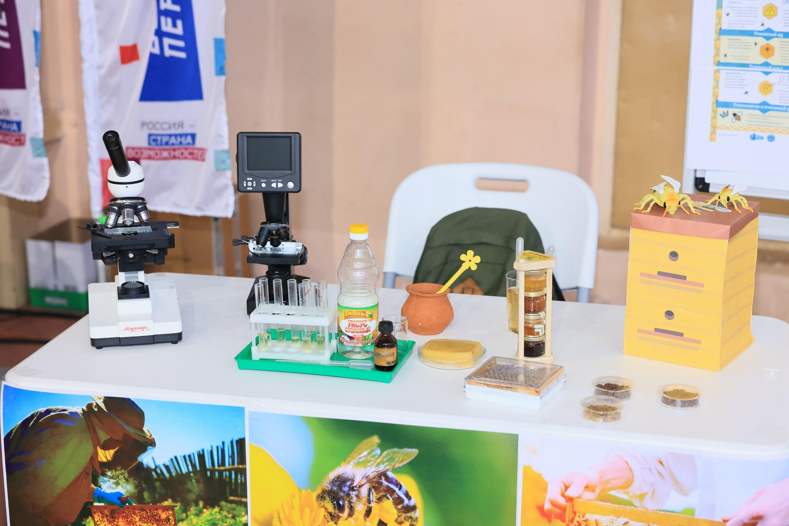 Репортаж с фестиваля «В ДВИЖЕНИИ». Концерт группы «Пицца». Фотограф в Туле Крупский АнДРей. Фотостудия «КАДР71» в Туле