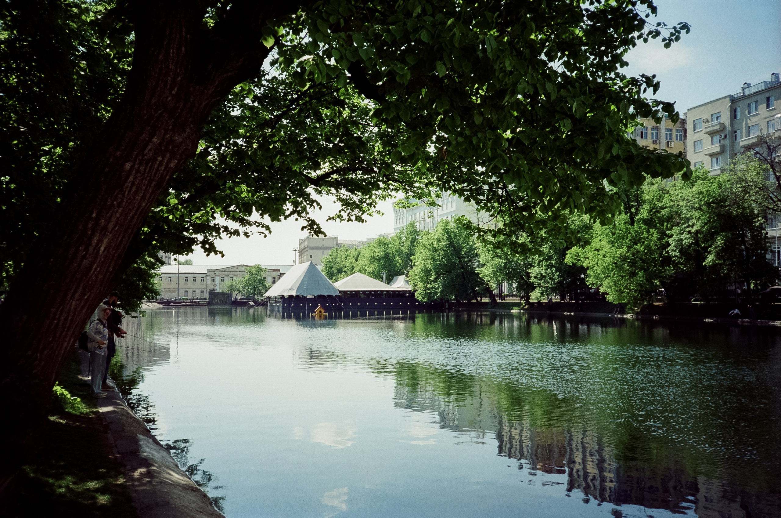SFL 200T (Kodak Vision3 200T) примеры фотографий