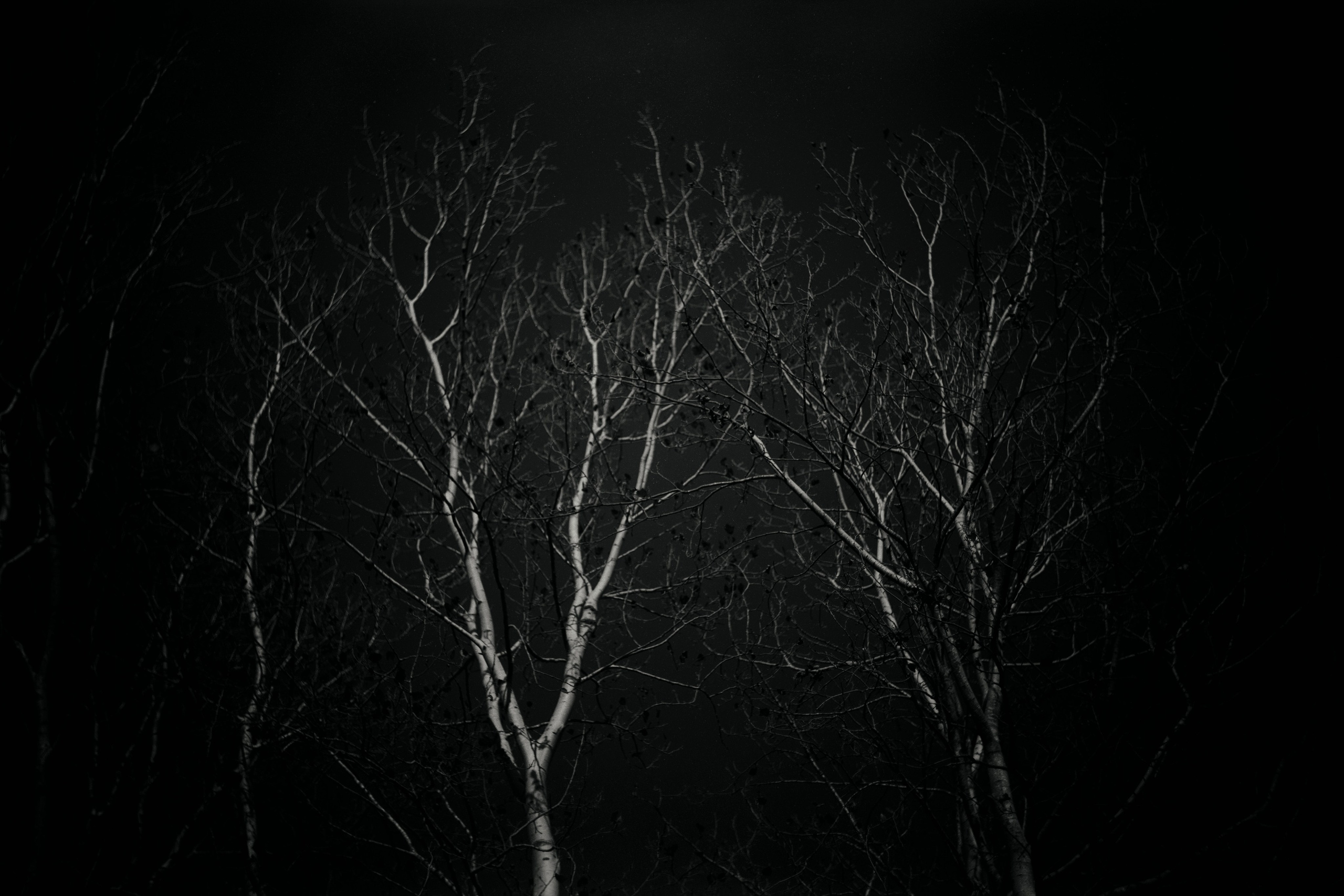 Homeland Adygea. Visual artist