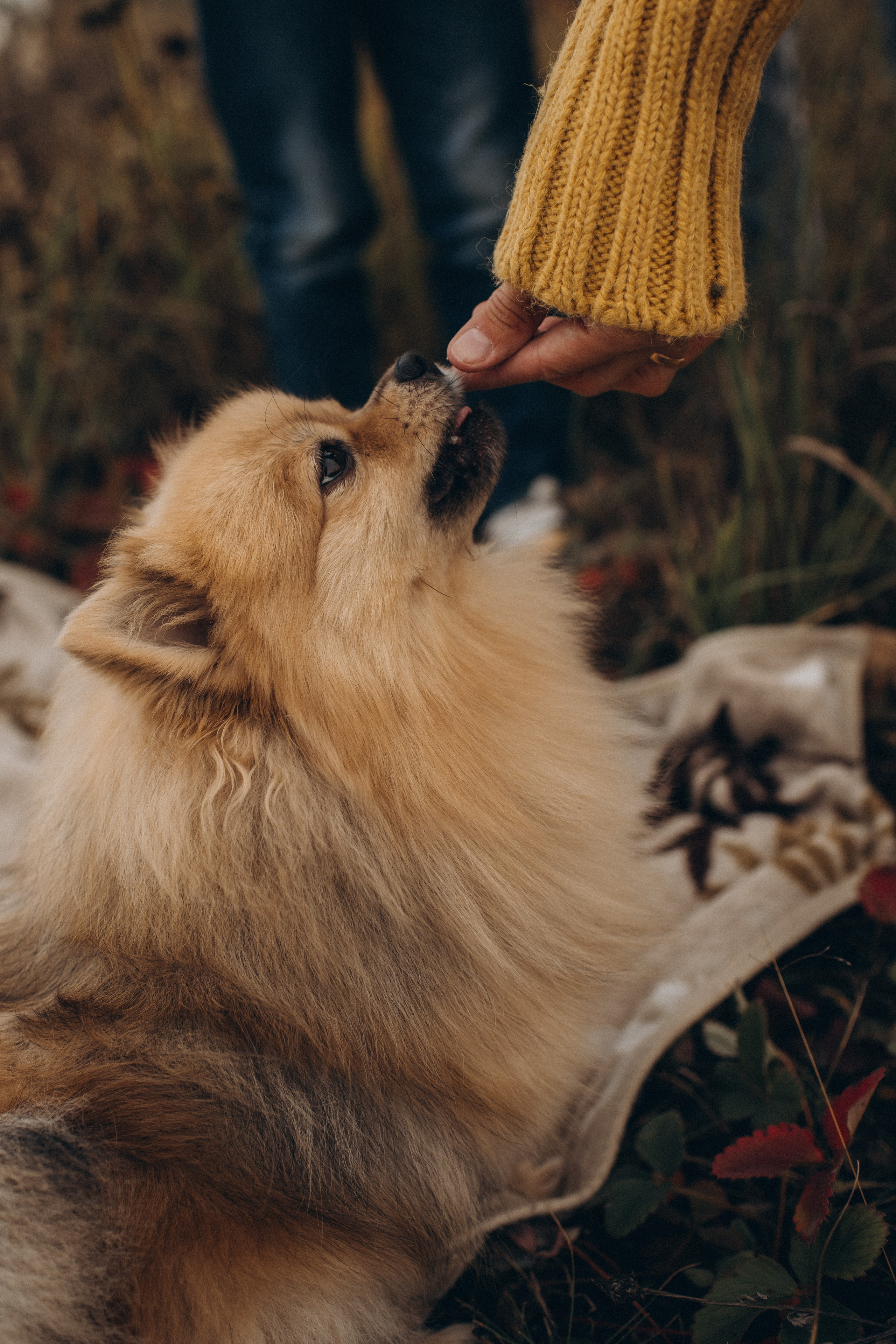На природе. Фотограф Алиса Чечина. Калуга. Товарково