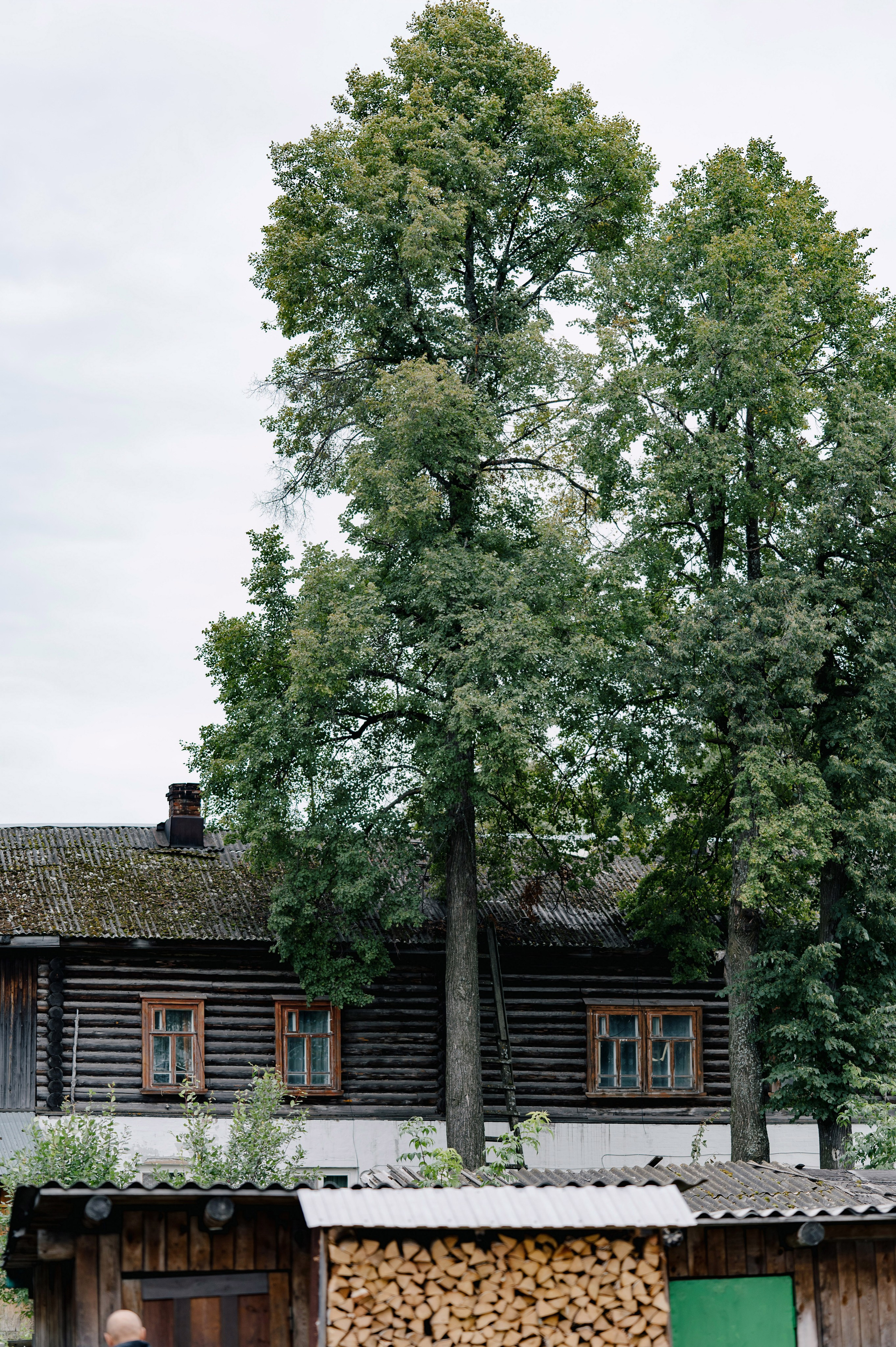 _. Фотограф Александр Смирнов