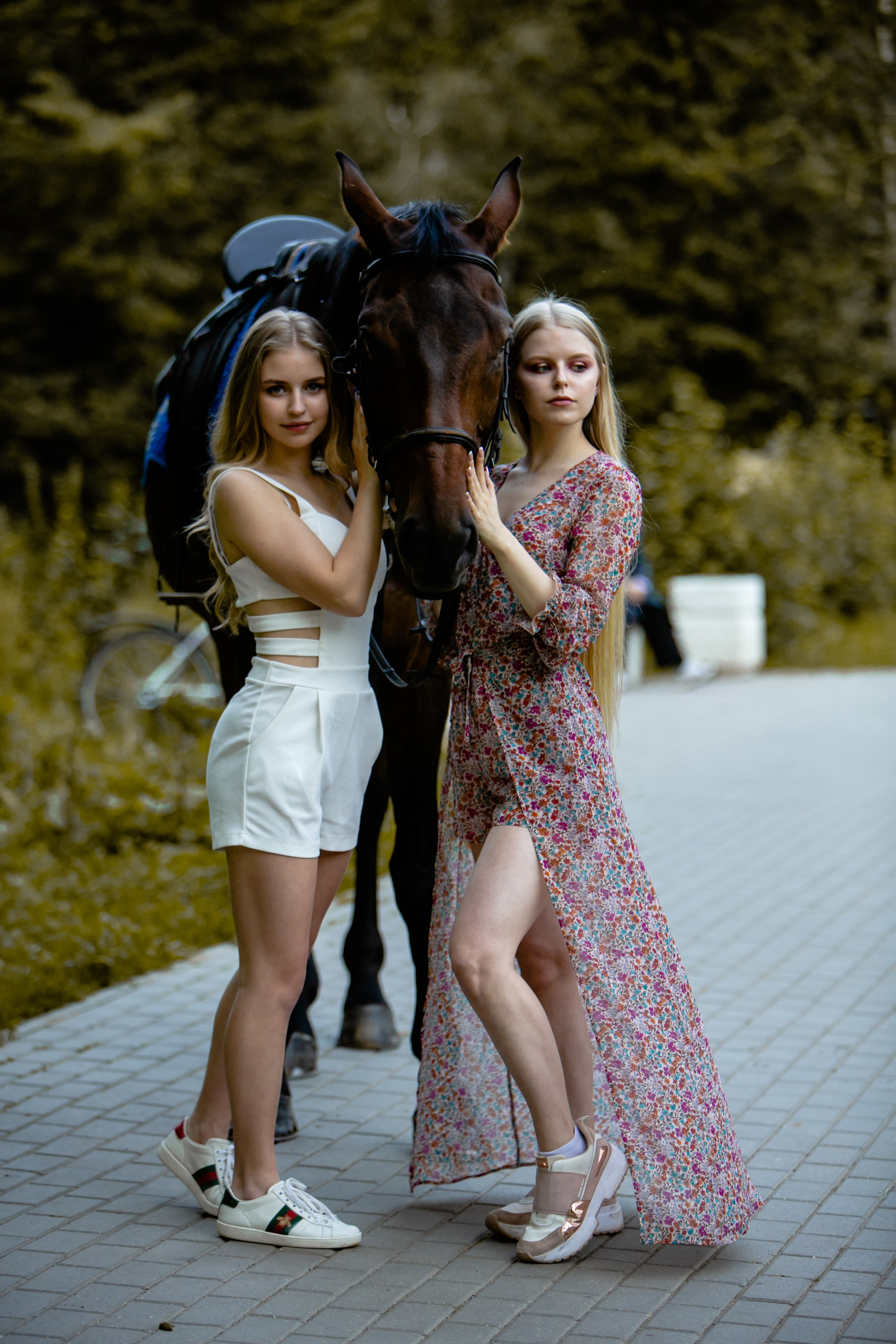 Фото с лошадьми. Фотограф Елена Лагода