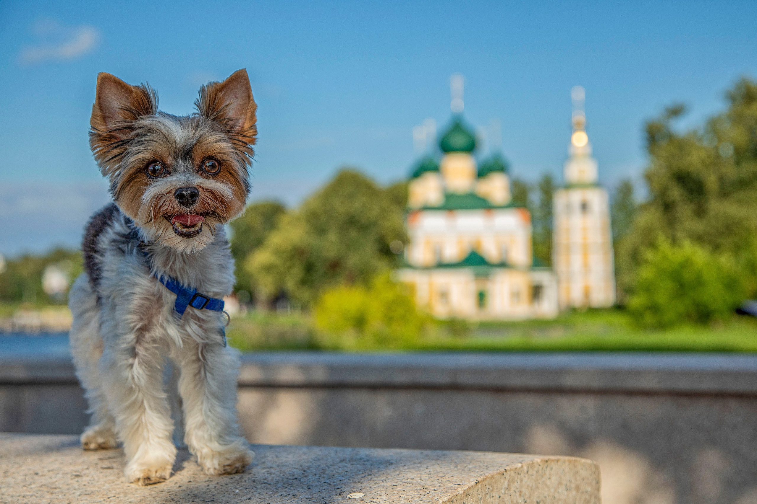 Про жизнь. Фотограф Сергей Ловкий