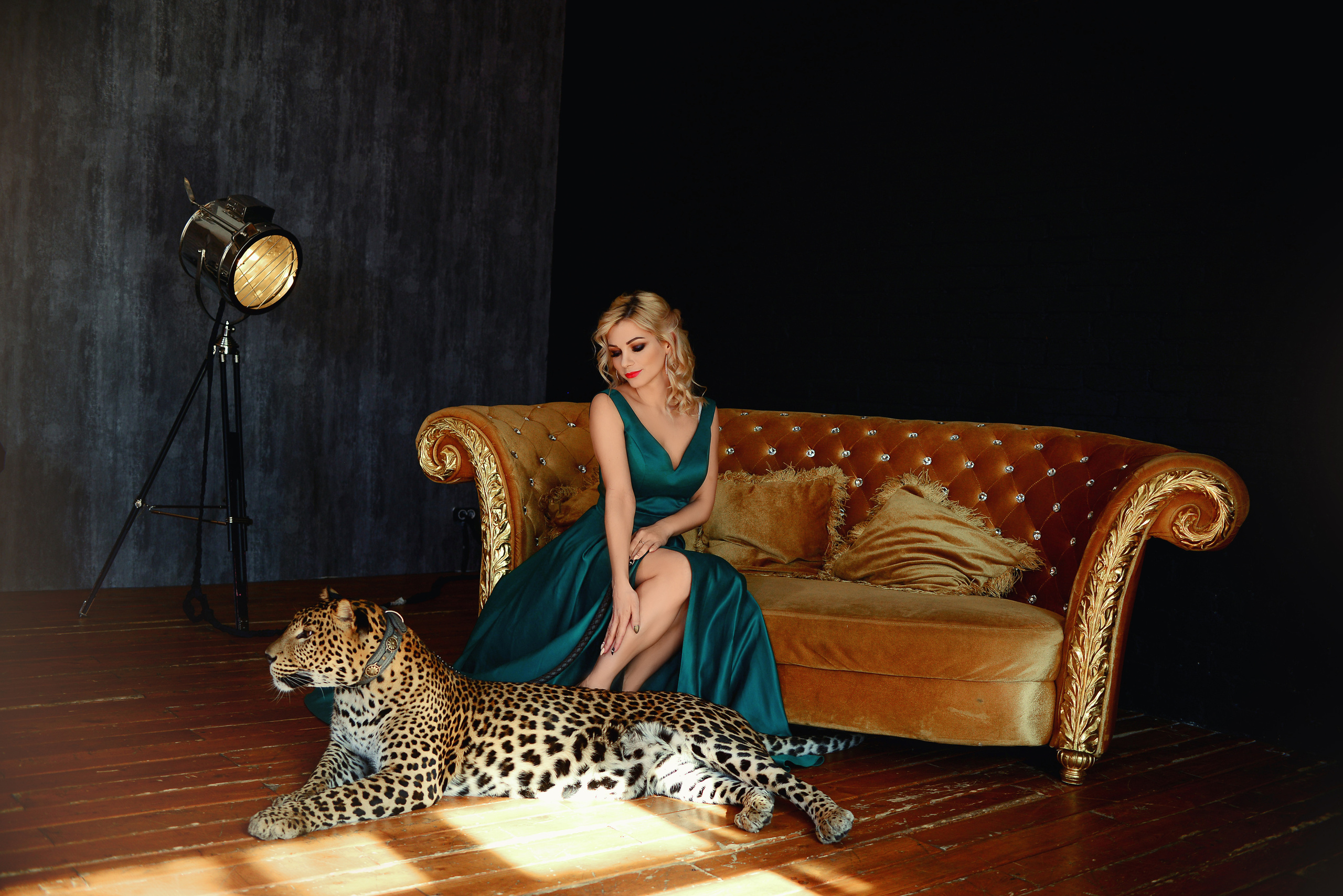 ЛАСКОВЫЙ ХИЩНИК. Фотограф Марина Герц