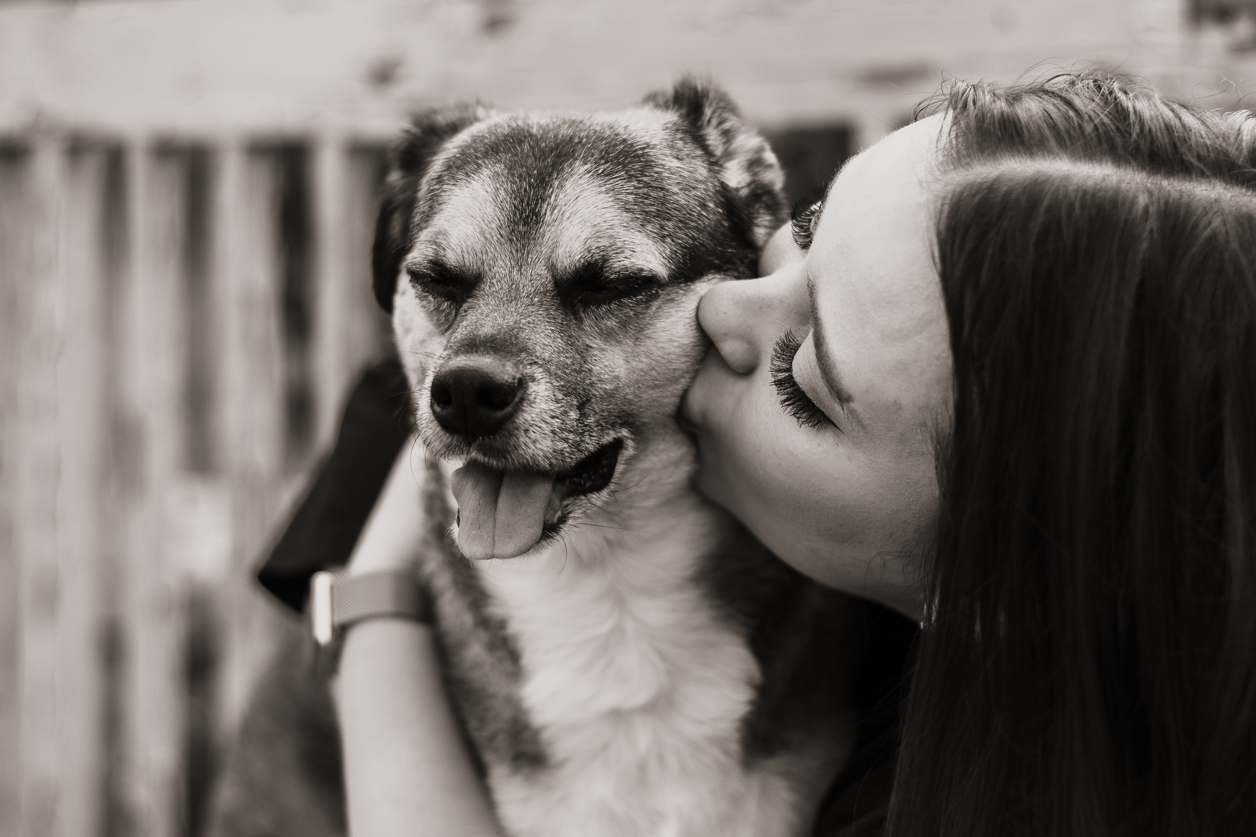 Виктория и Раф. Фотограф-анималист Мария Баркевич | Москва