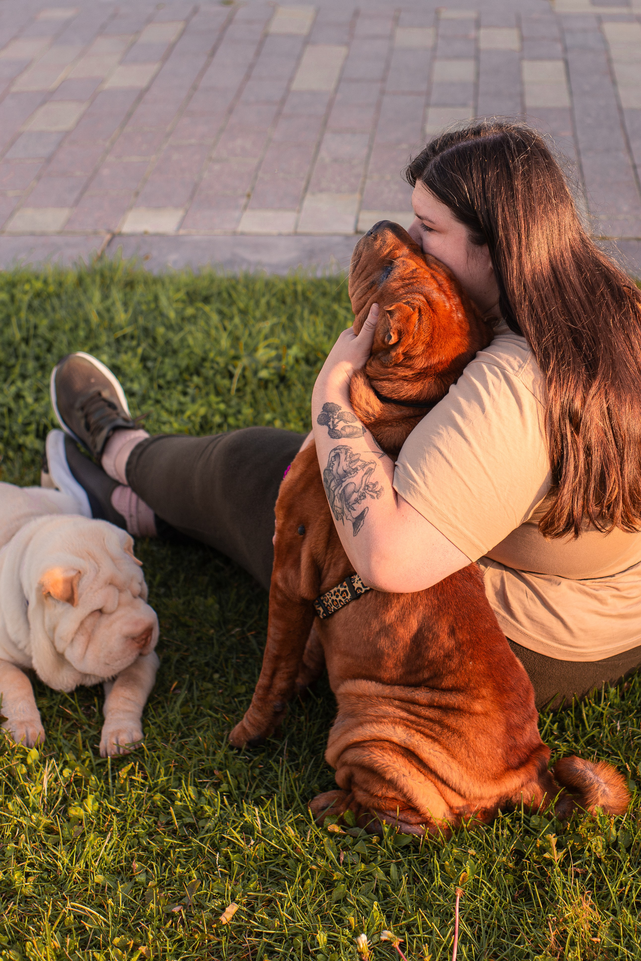 Алёна, Лагерта и Зефир. Фотограф-анималист Мария Баркевич | Москва
