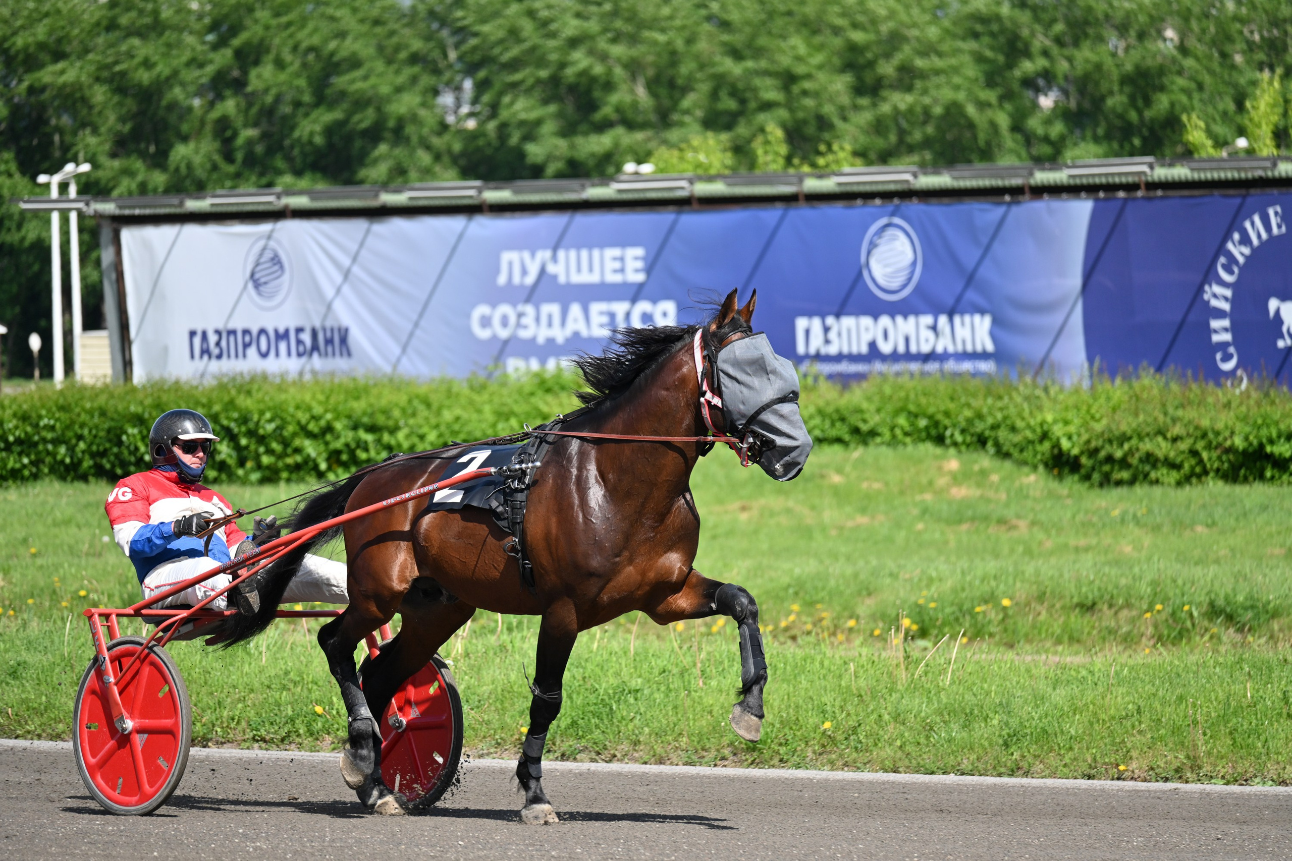Московский ипподром. Fotolux