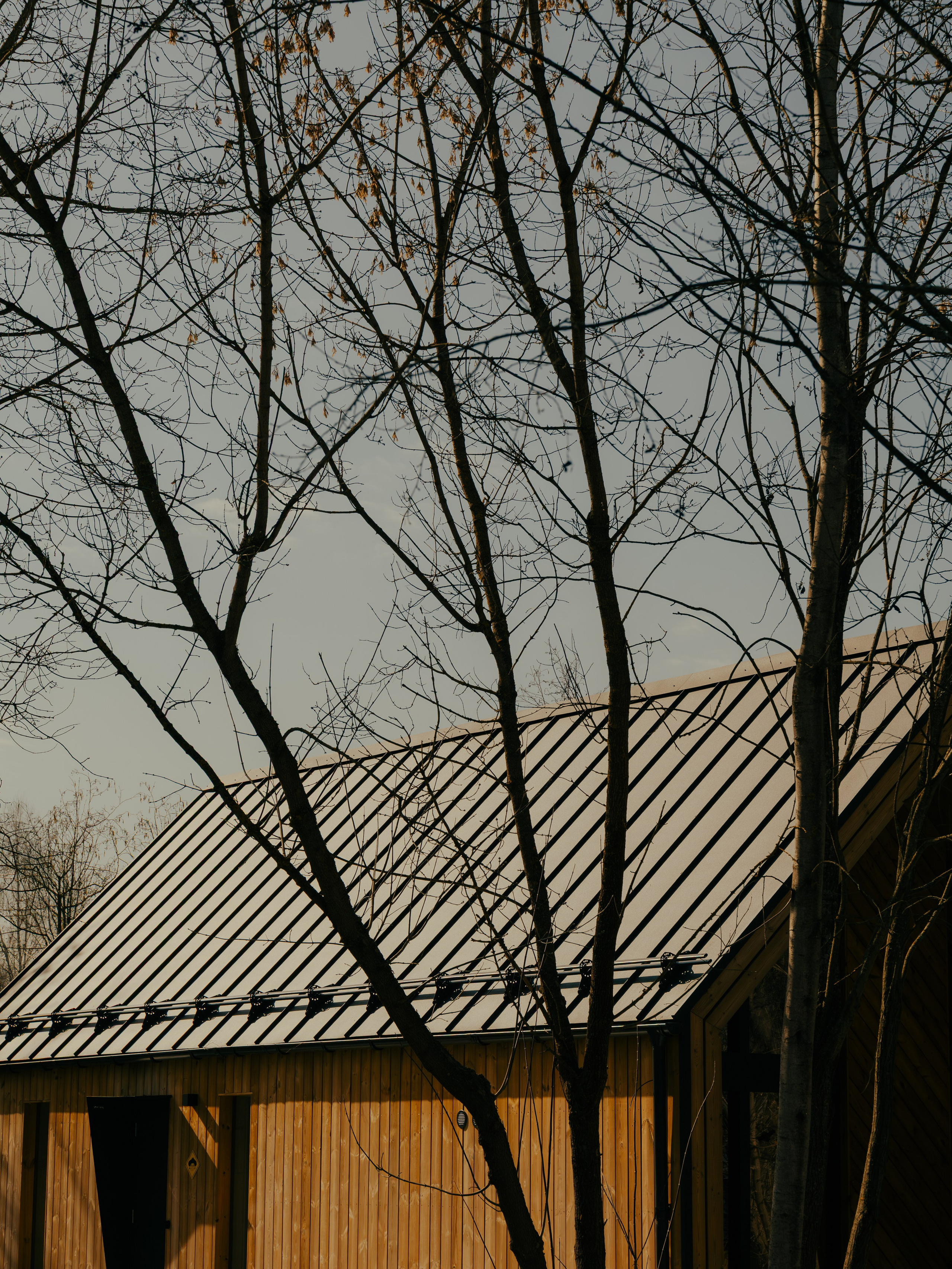 ZvenZen. Фотограф Павел Краснов