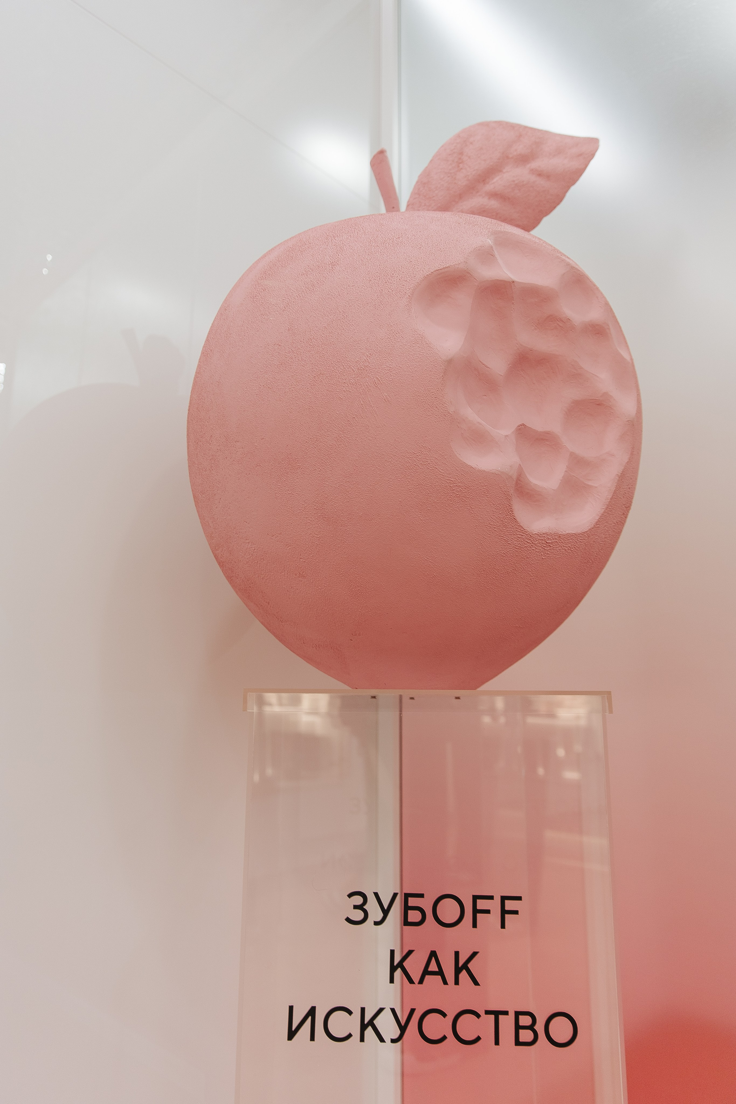 Открытие клиники. Фотограф в Красноярске Любовь Малеева