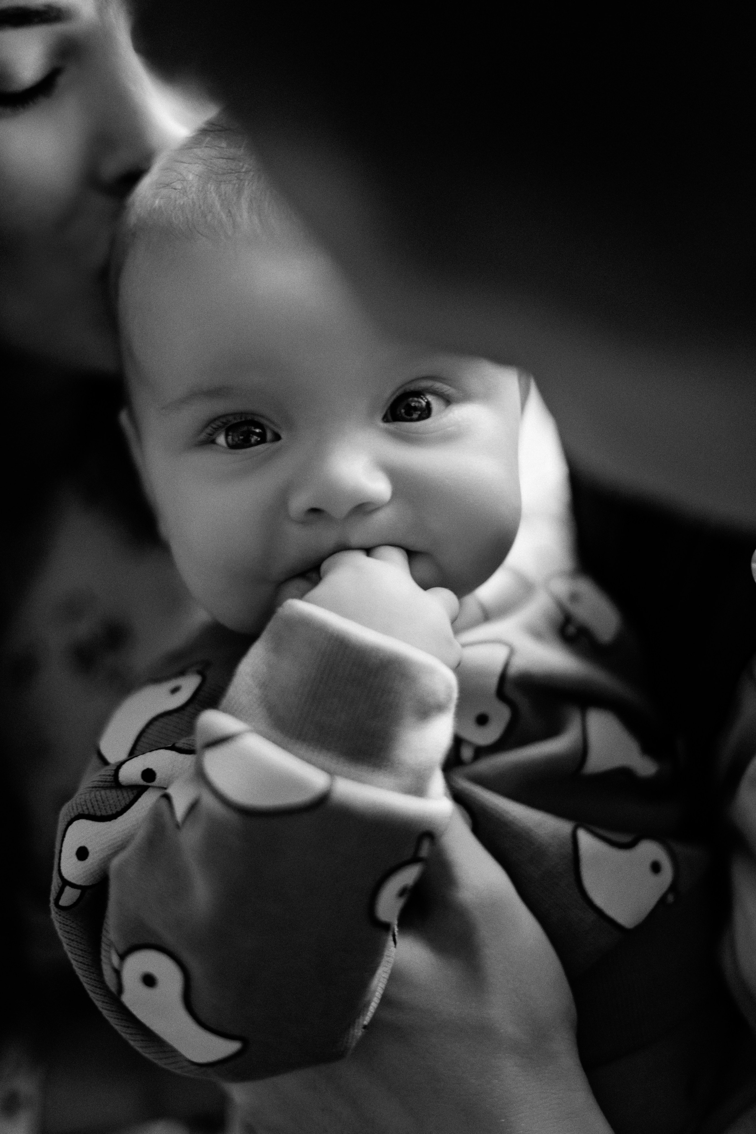 Аня и Кирилл. Свадебный фотограф в Санкт-Петербурге София Шубик