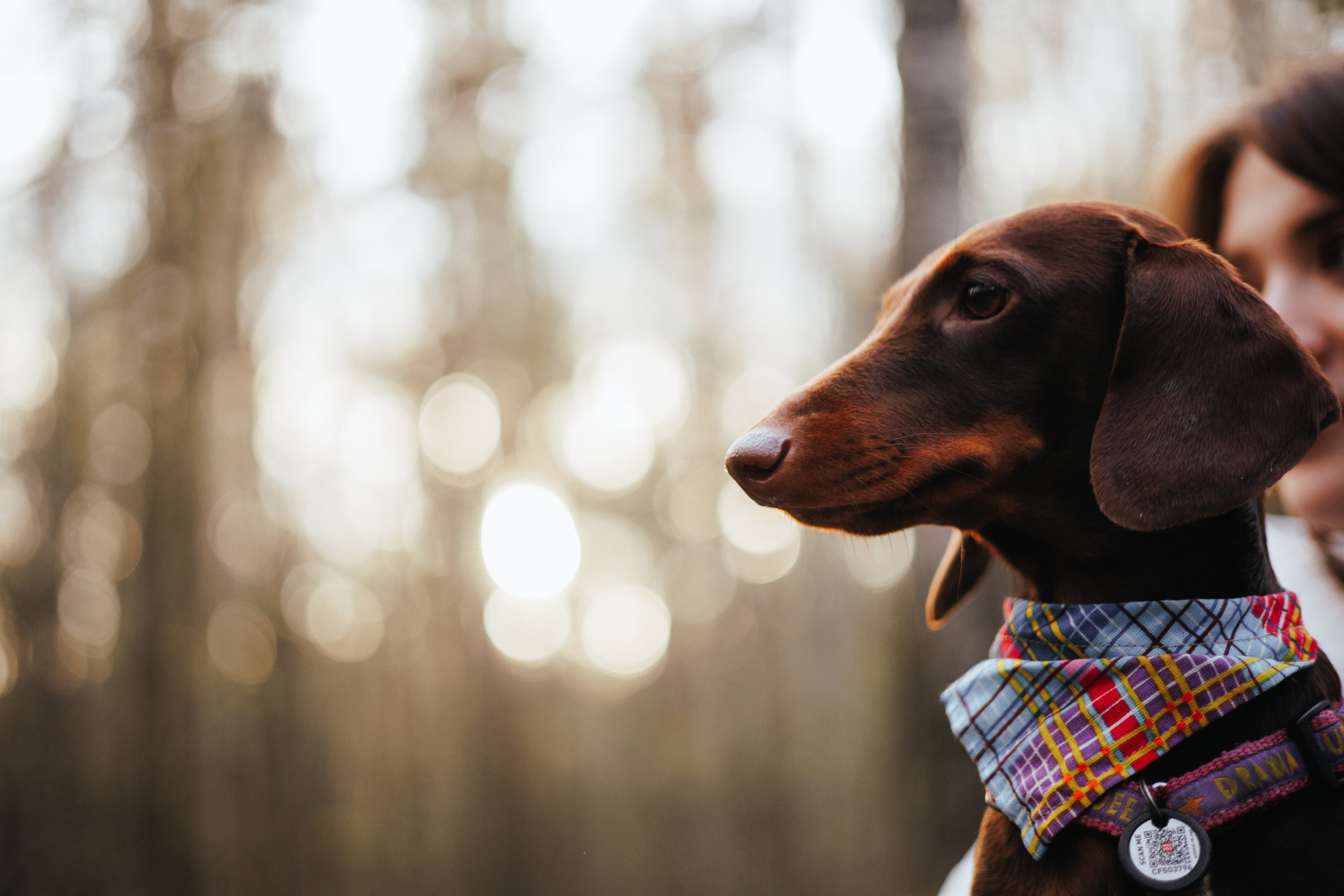 Фотограф животных Евгения Верцинская