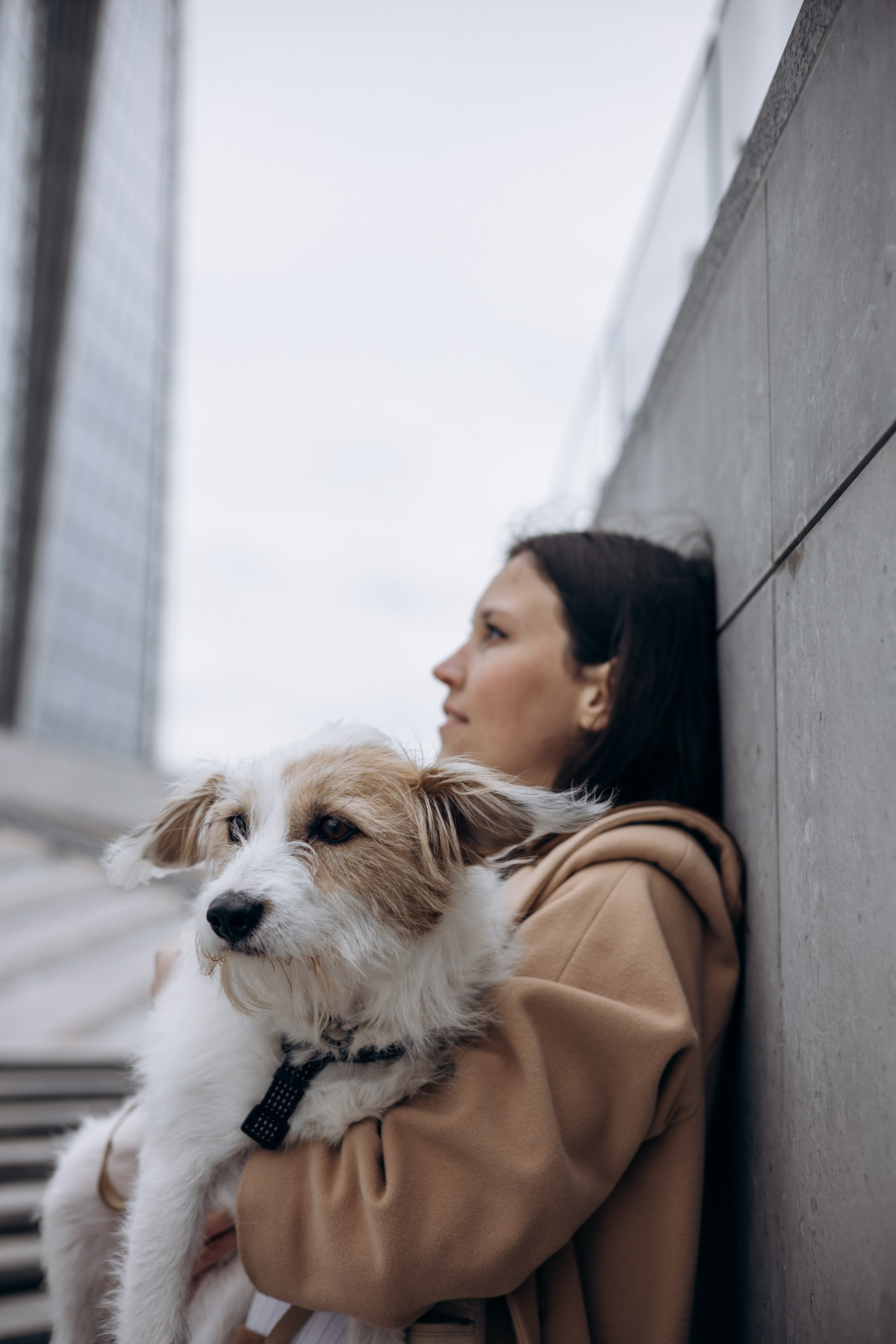 Оля и Тэффи. Фотограф животных Евгения Верцинская