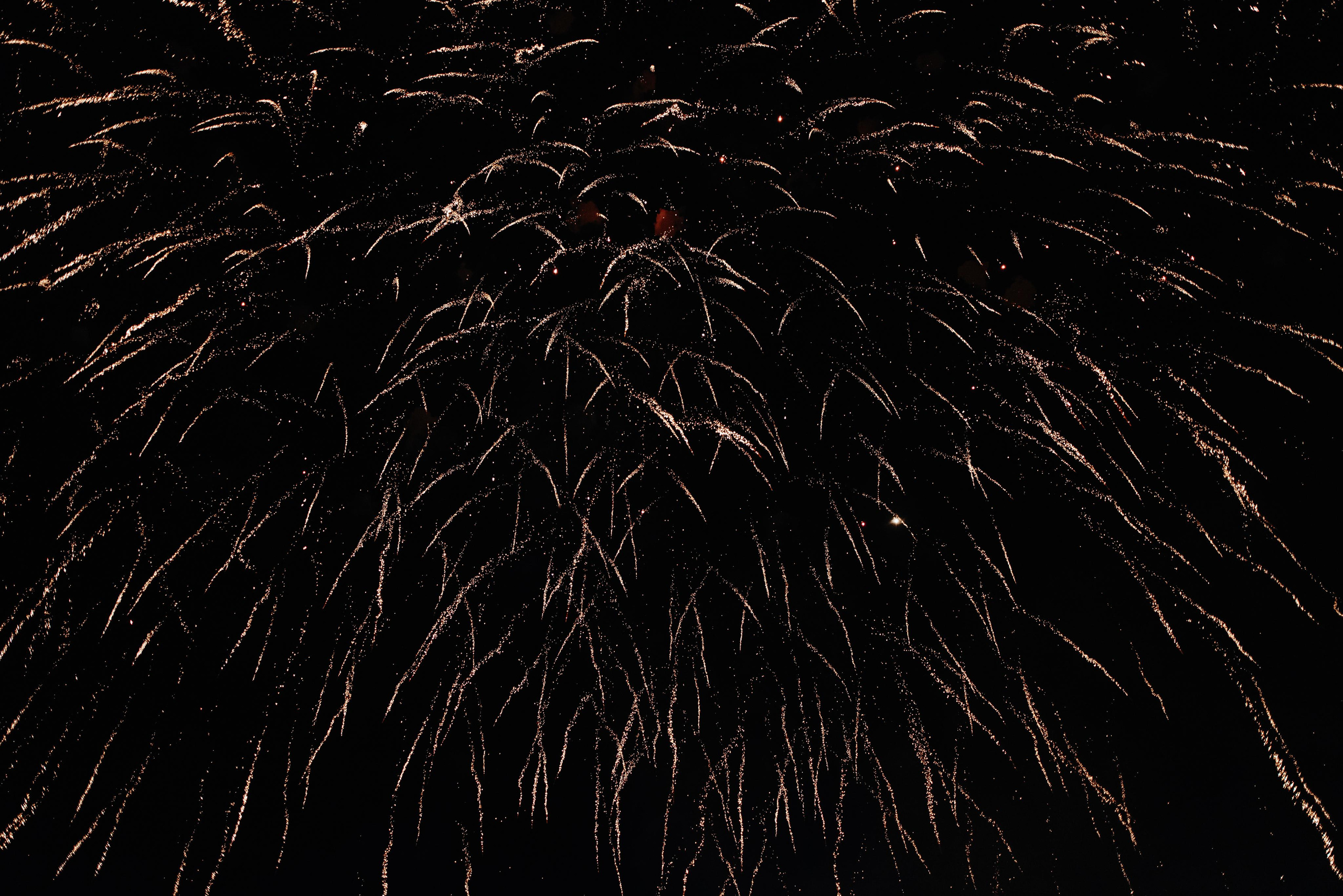 Агата и Сергей. Свадебный и портретный фотограф в Минске Татьяна Лобода