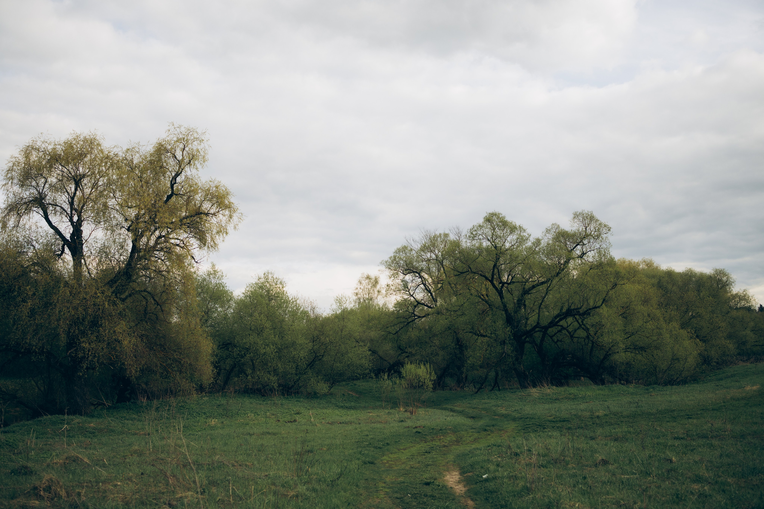 Istra. Женский фотограф Истра