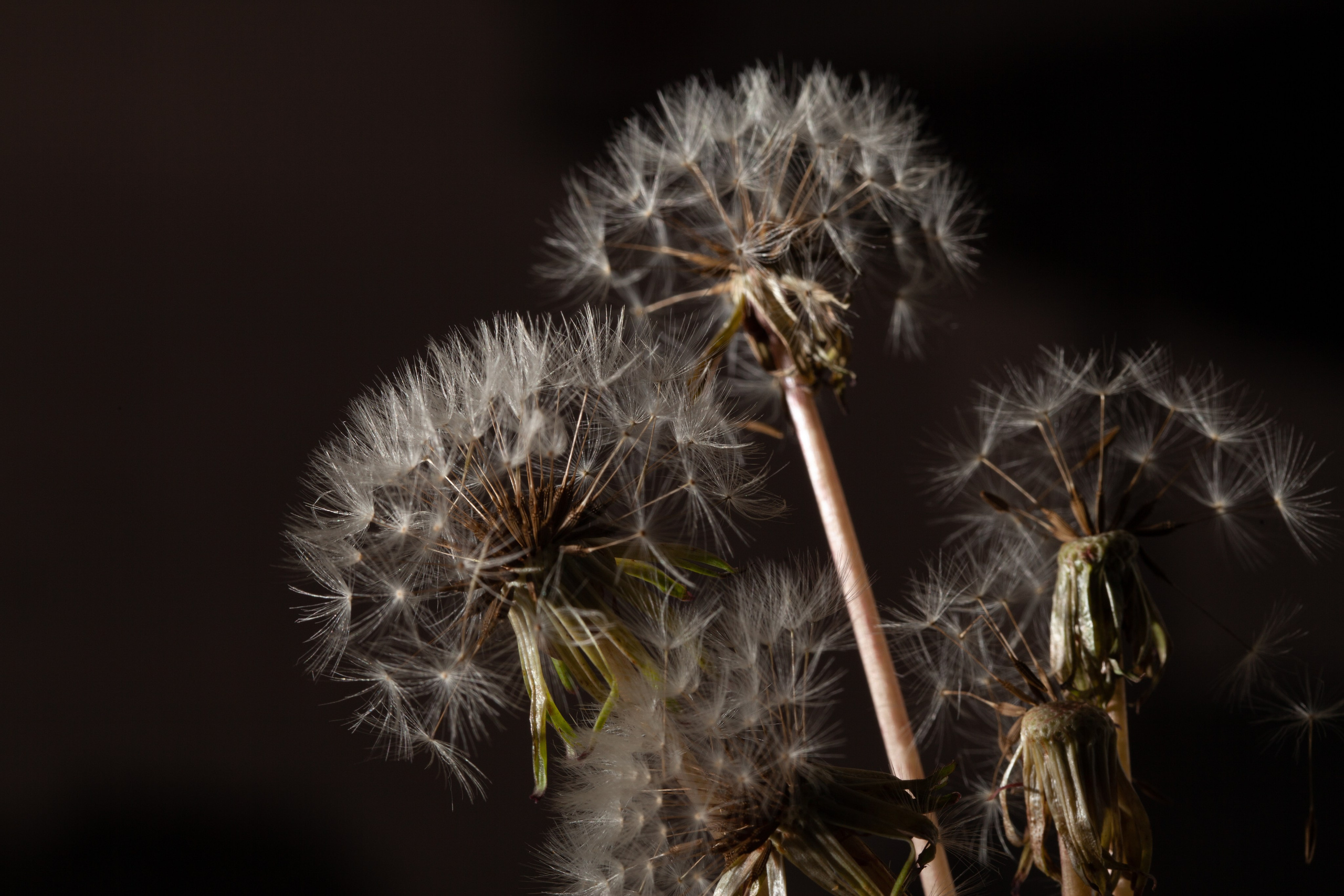 Красота вокруг нас. Медиапродюсер, фотограф в Минеральных Водах —Виктор Холодов