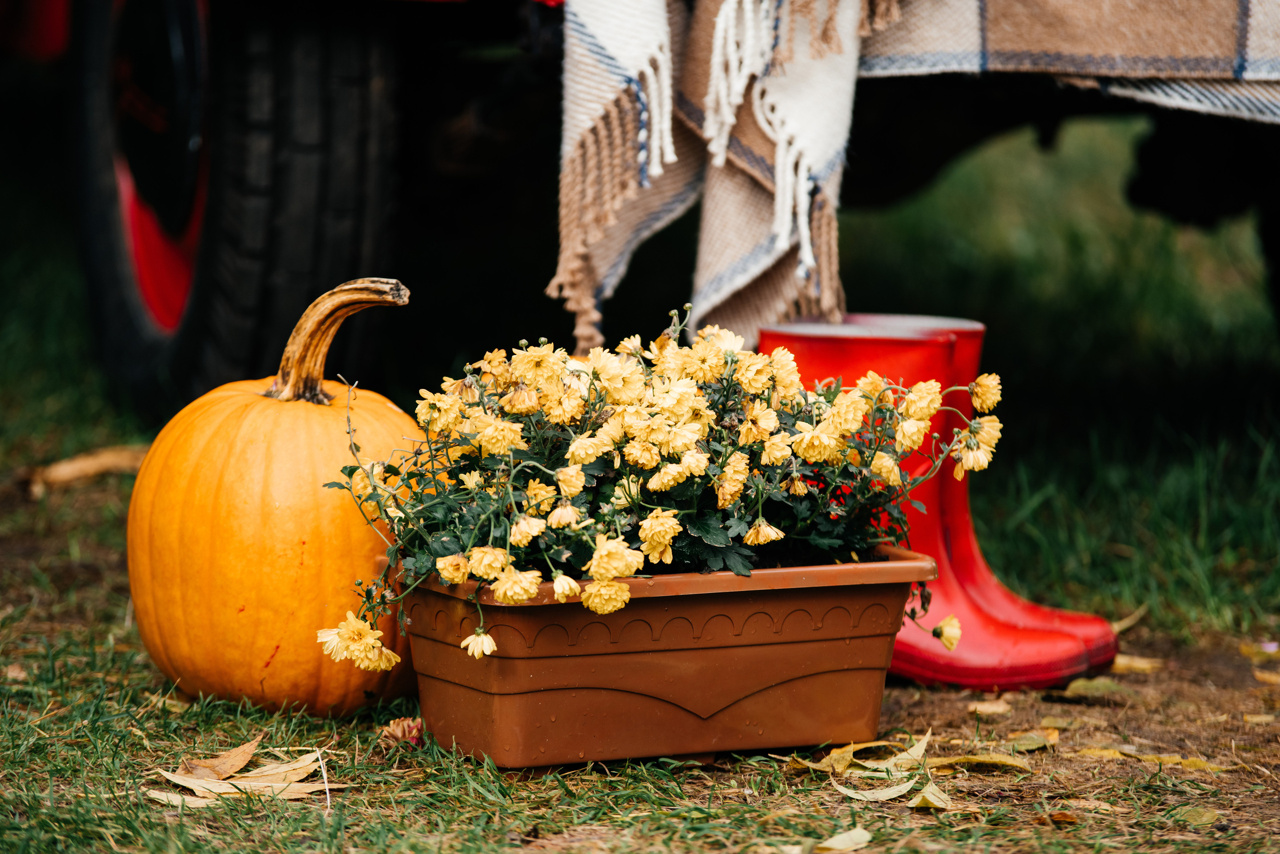 Осенний фото проект. Свадебный и семейный фотограф Максим Сорокин