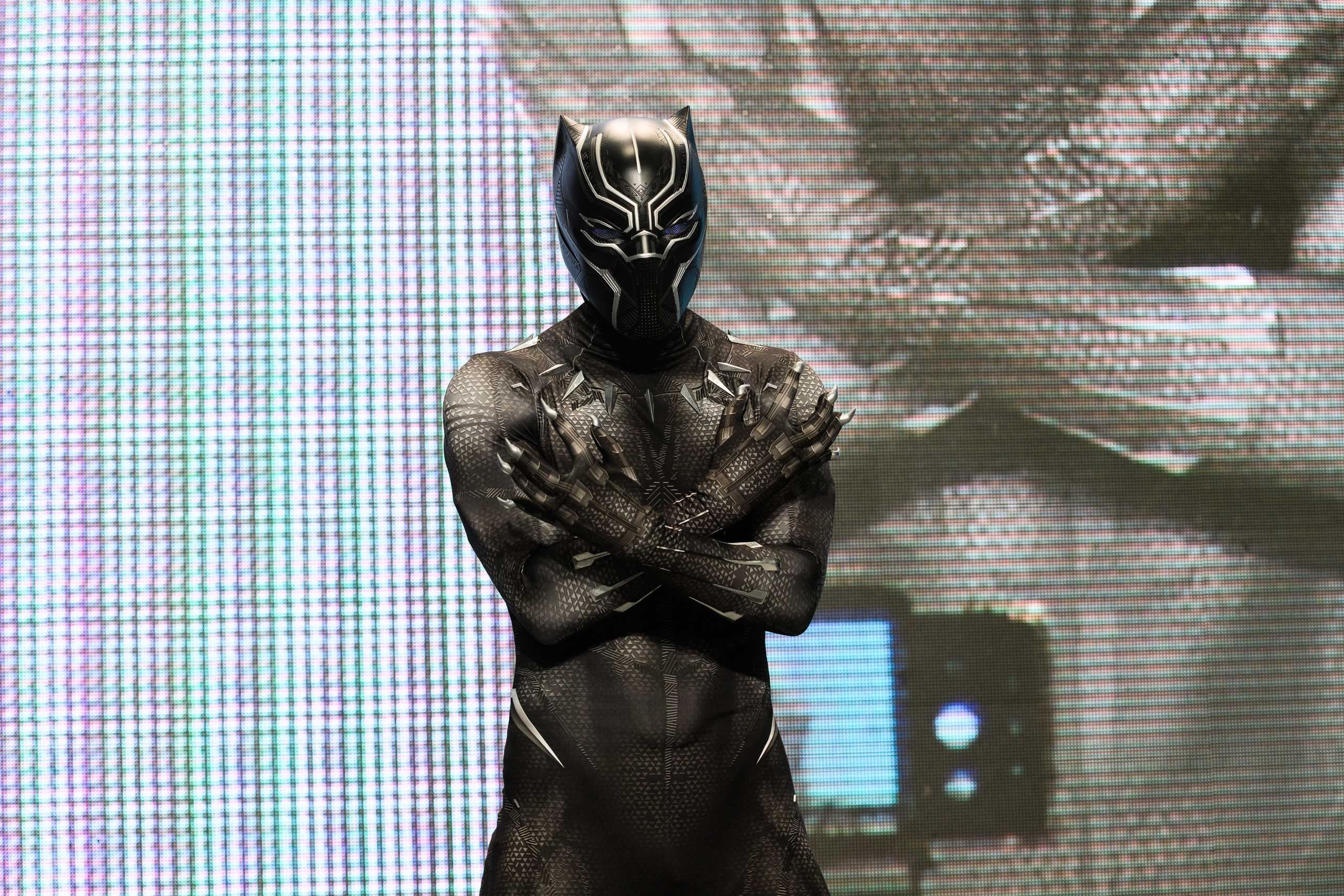 Эпик кон. Свадебный и семейный фотограф Максим Сорокин