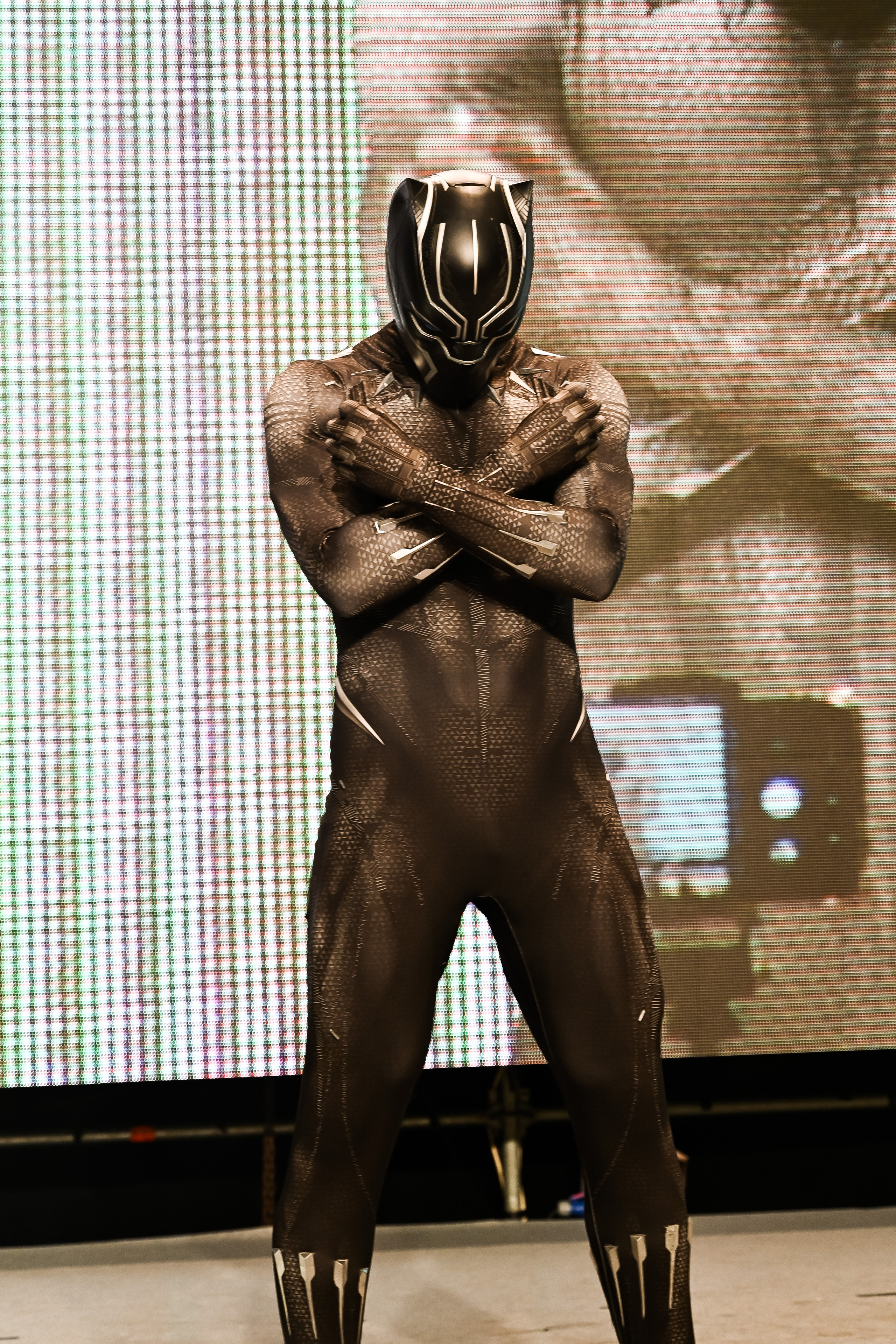 Эпик кон. Свадебный и семейный фотограф Максим Сорокин