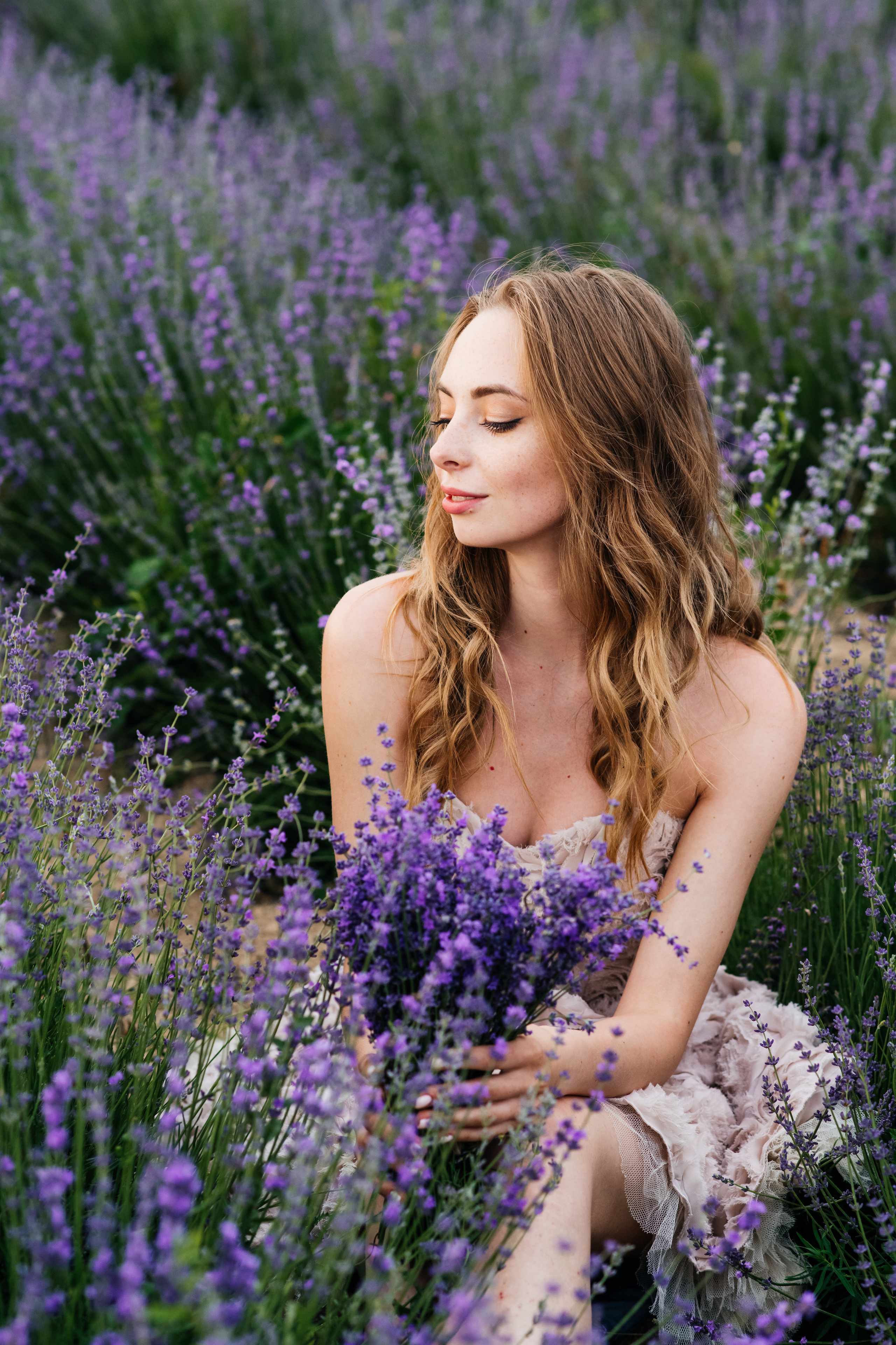 Лаванда. Свадебный и семейный фотограф Максим Сорокин