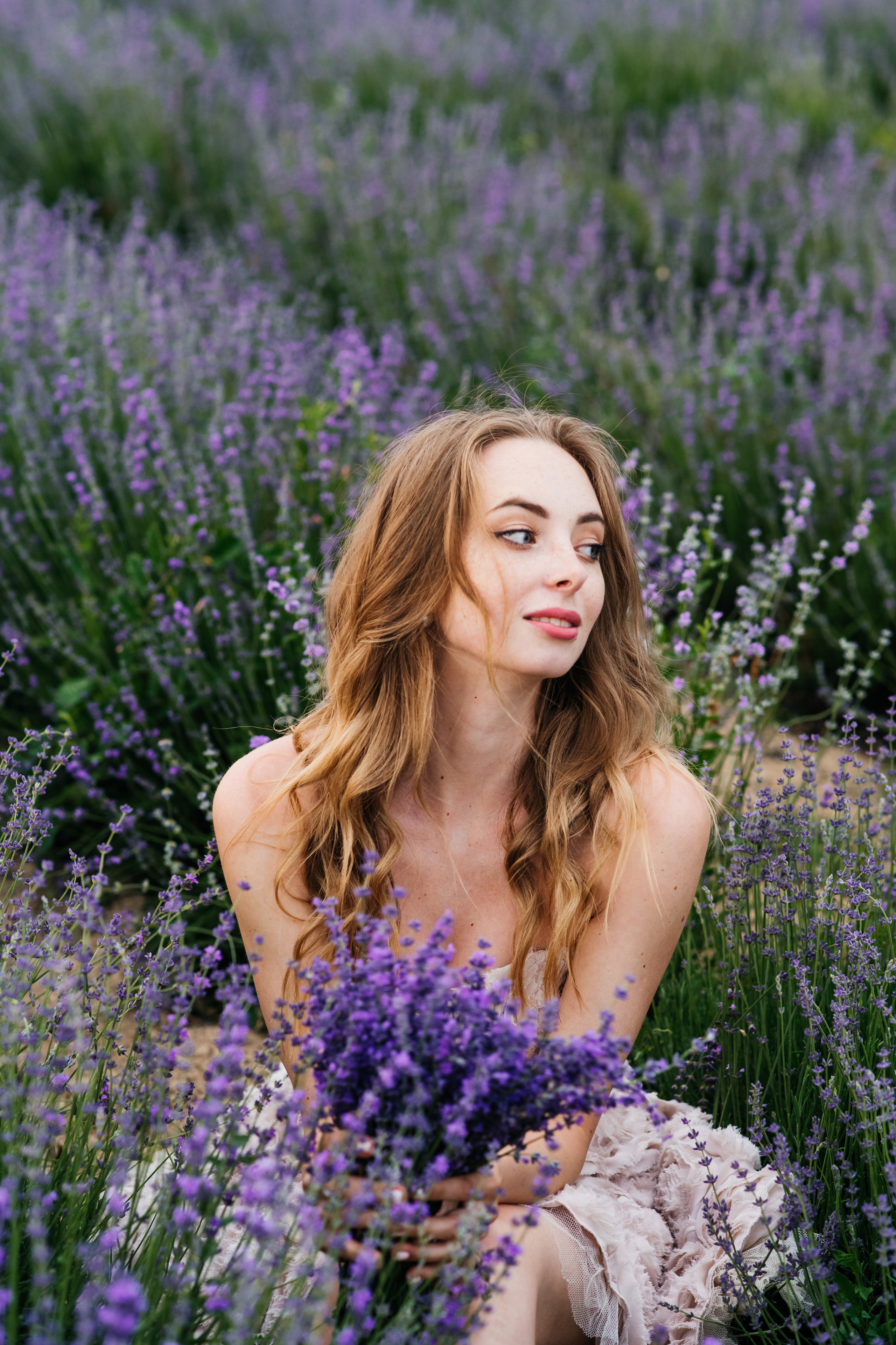 Лаванда. Свадебный и семейный фотограф Максим Сорокин