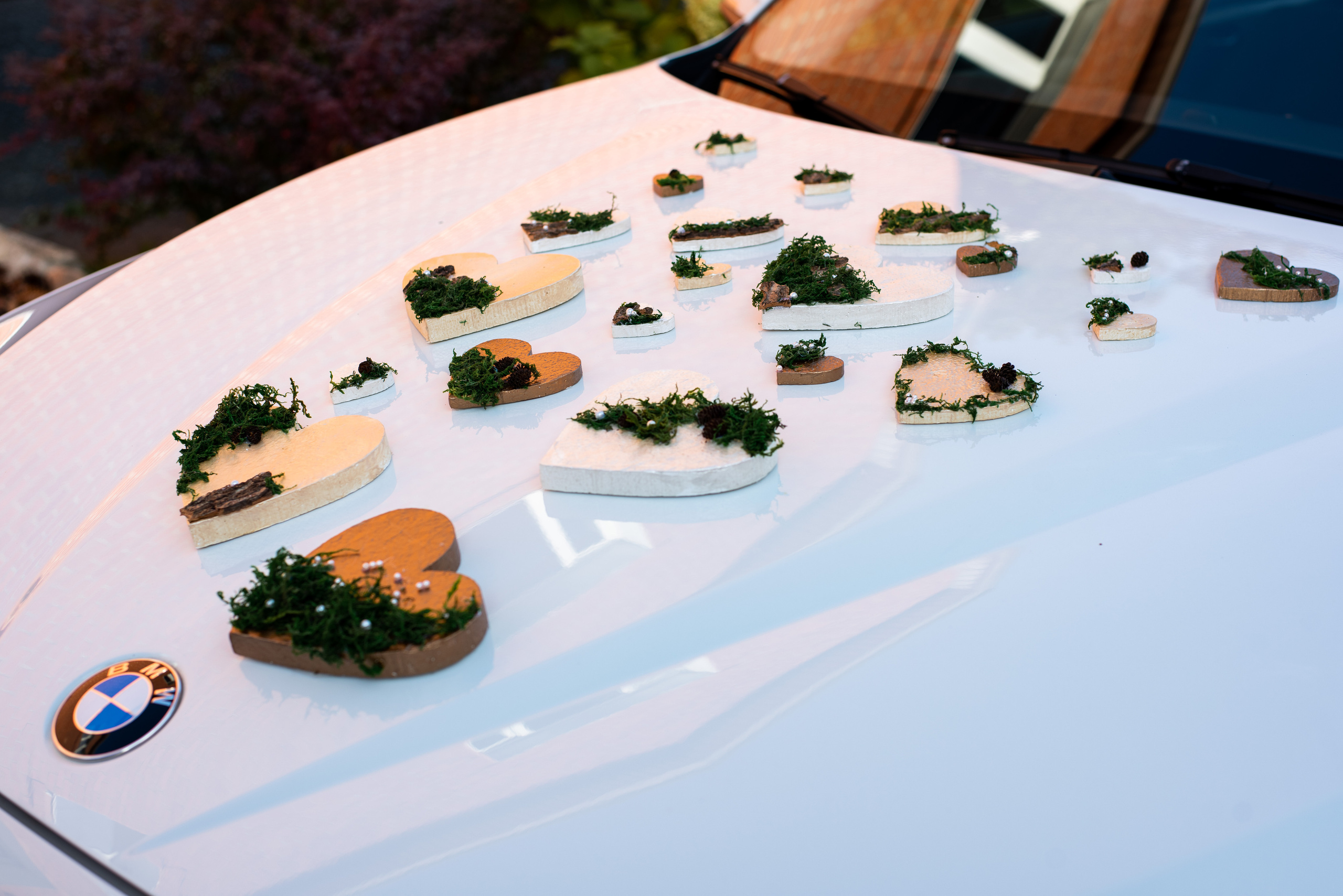 Ангелина и Павел. Свадебный и семейный фотограф Максим Сорокин