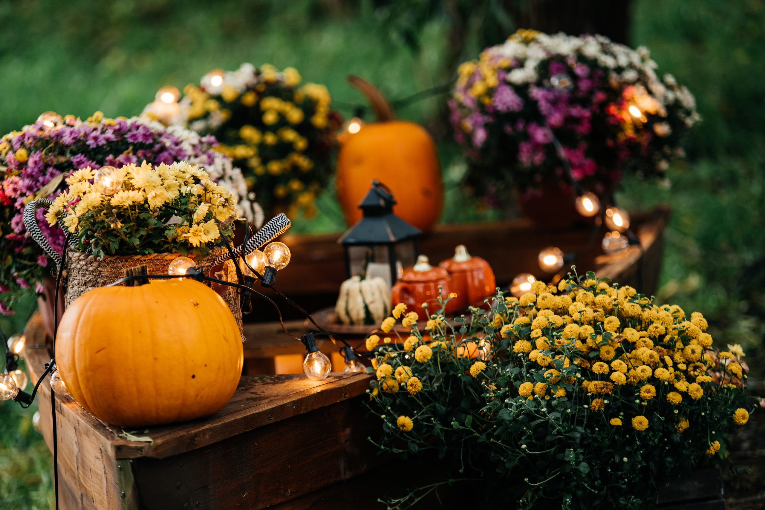 Осенний фото проект. Свадебный и семейный фотограф Максим Сорокин