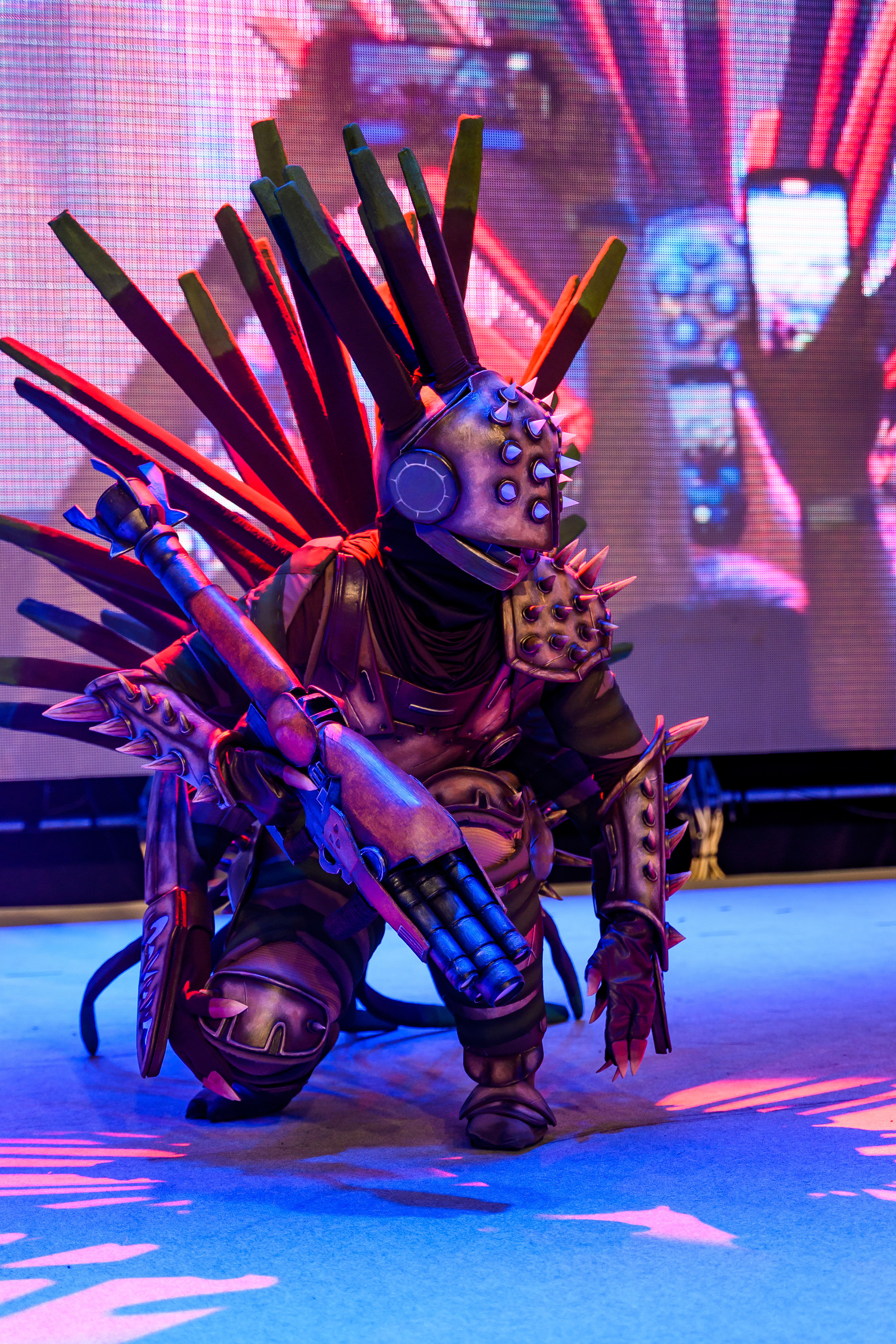 Эпик кон. Свадебный и семейный фотограф Максим Сорокин