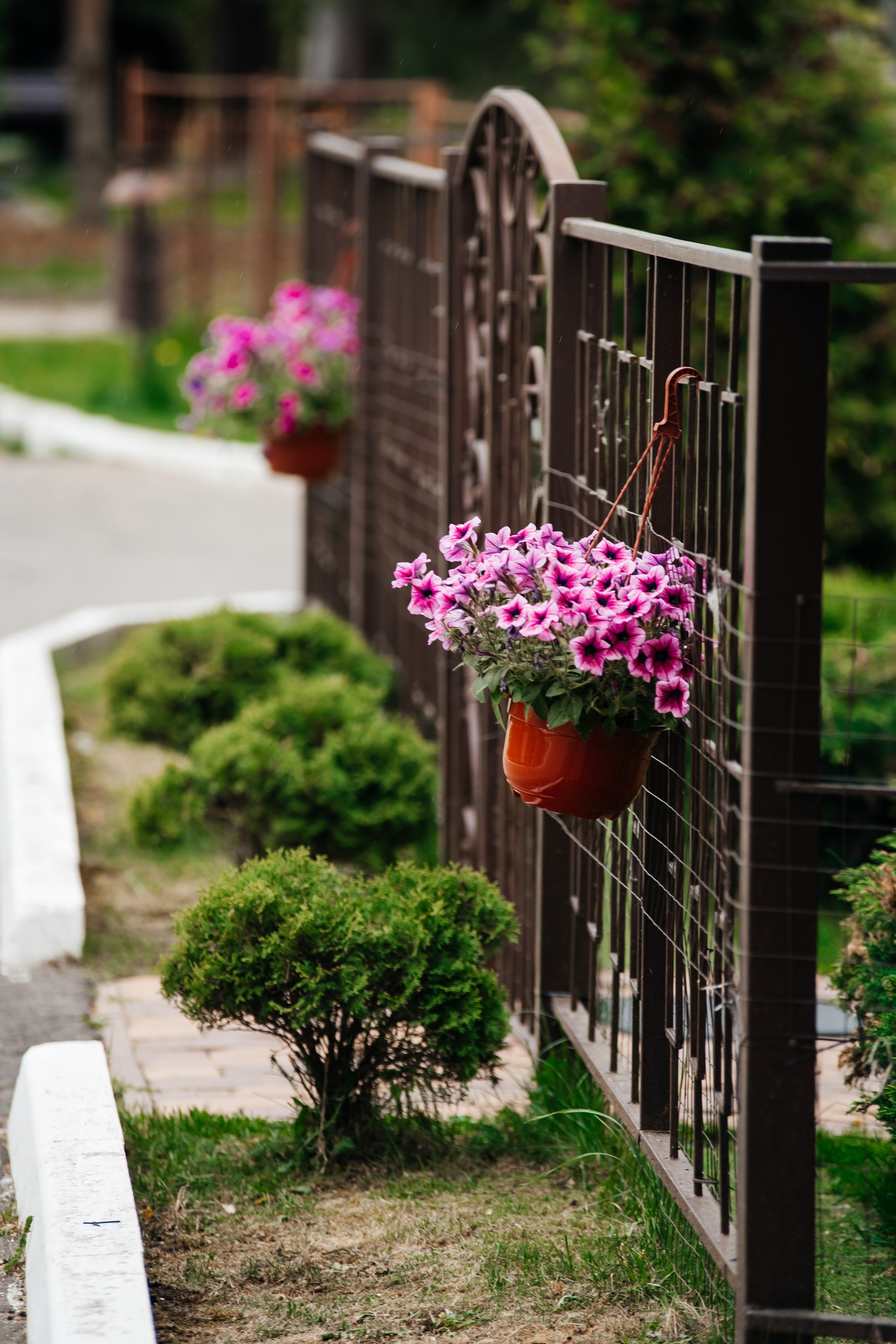 Фотосессия для Карины. Свадебный и семейный фотограф Максим Сорокин