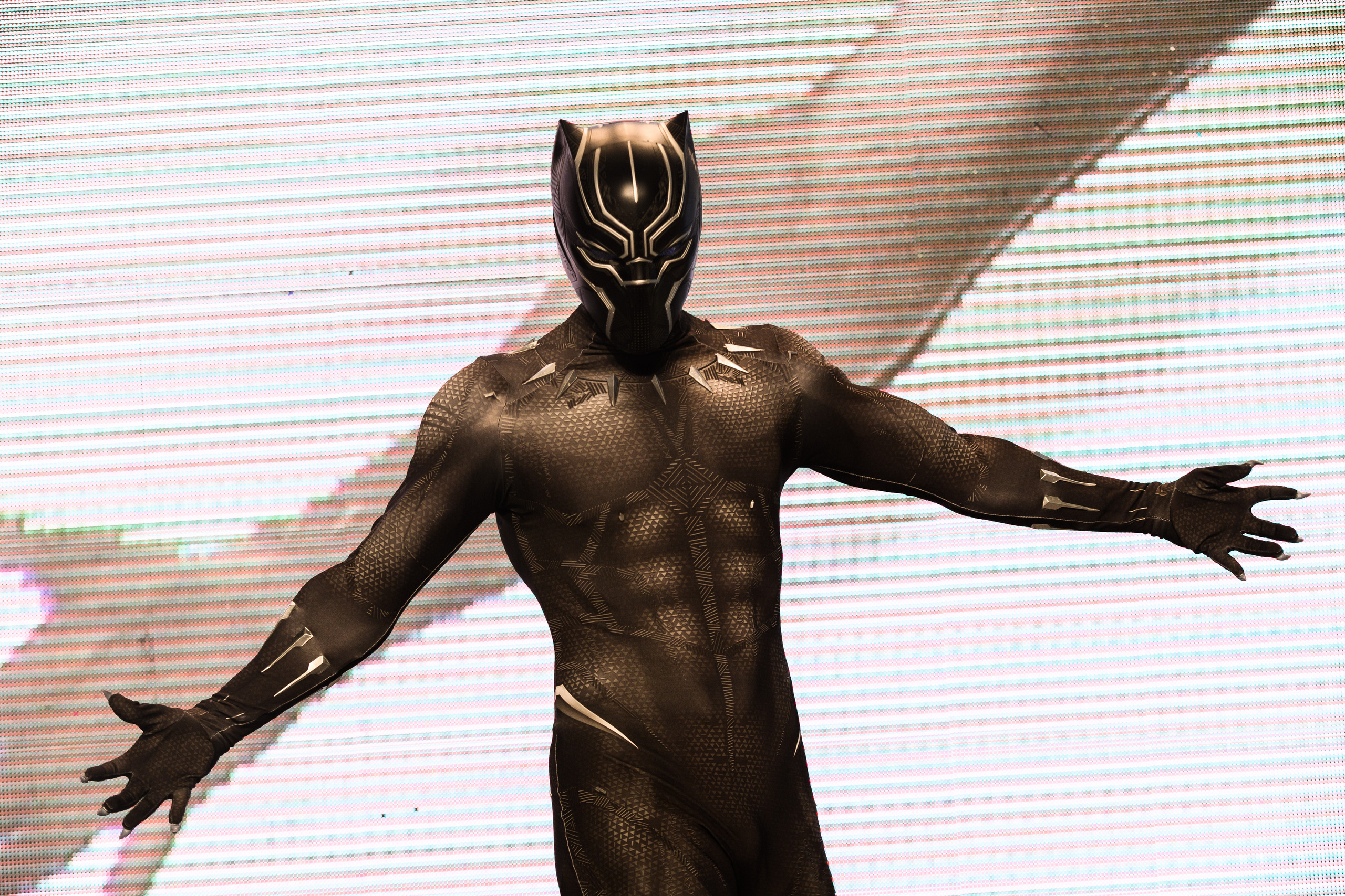 Эпик кон. Свадебный и семейный фотограф Максим Сорокин