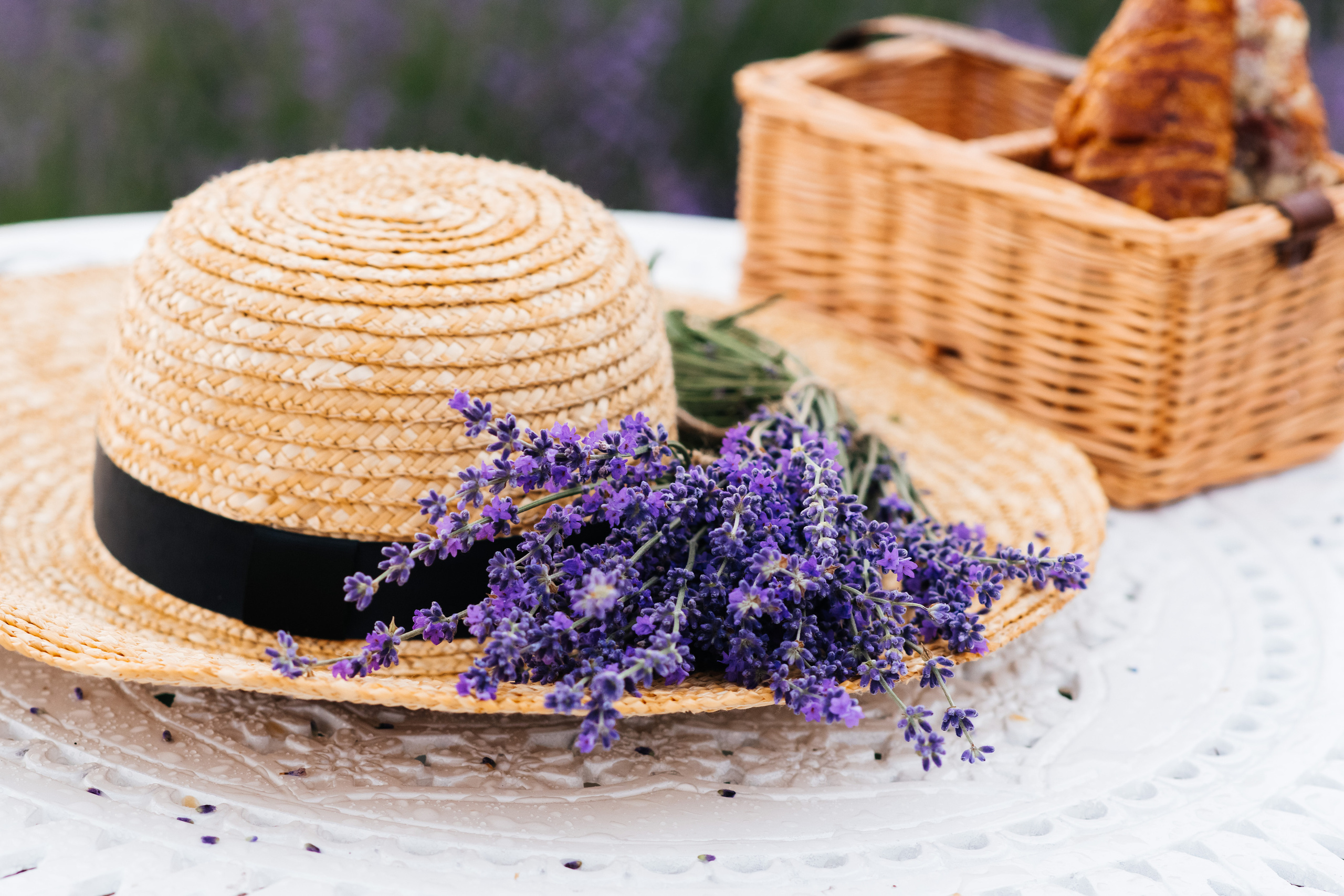 Лаванда. Свадебный и семейный фотограф Максим Сорокин