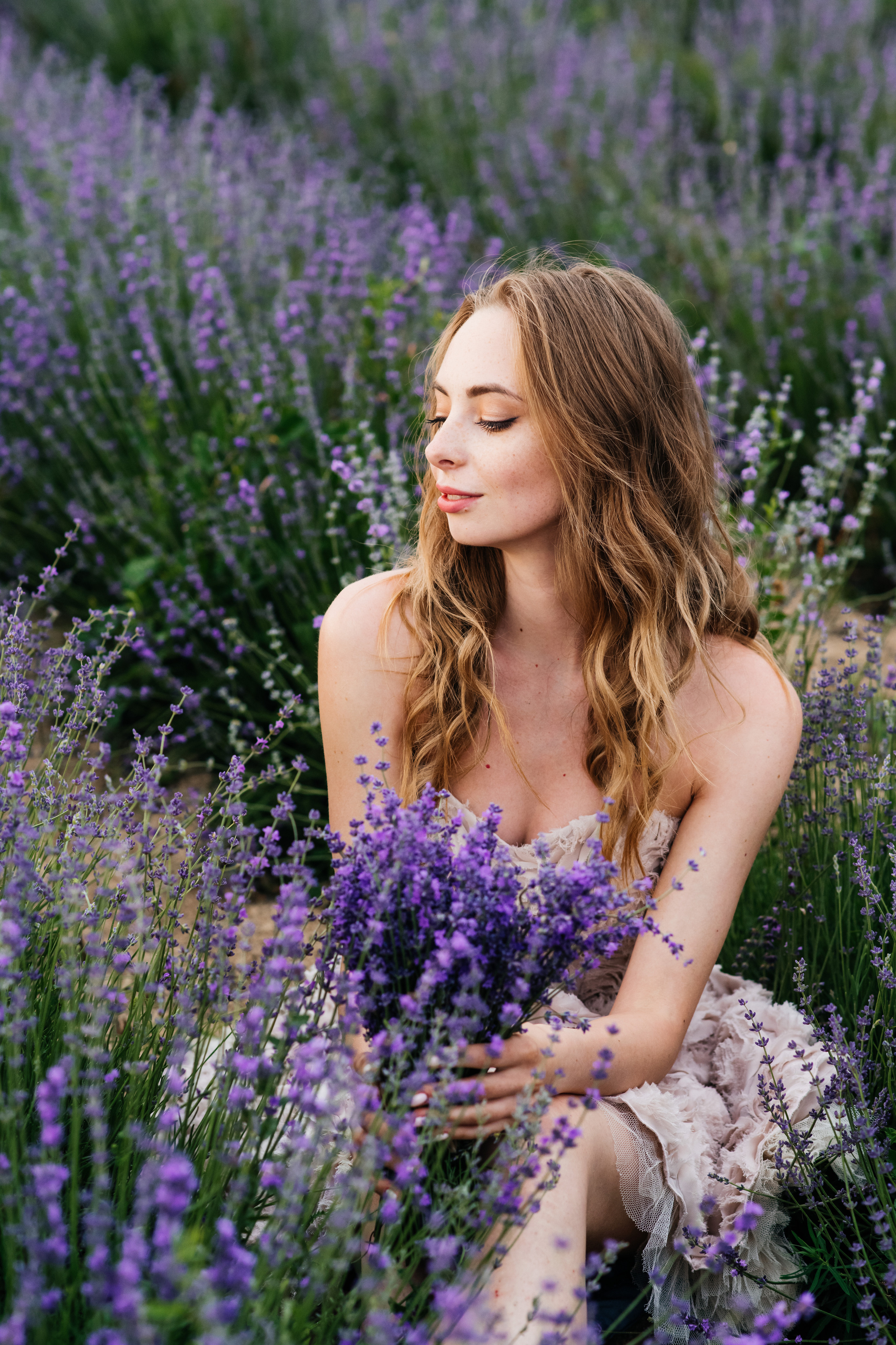 Лаванда. Свадебный и семейный фотограф Максим Сорокин