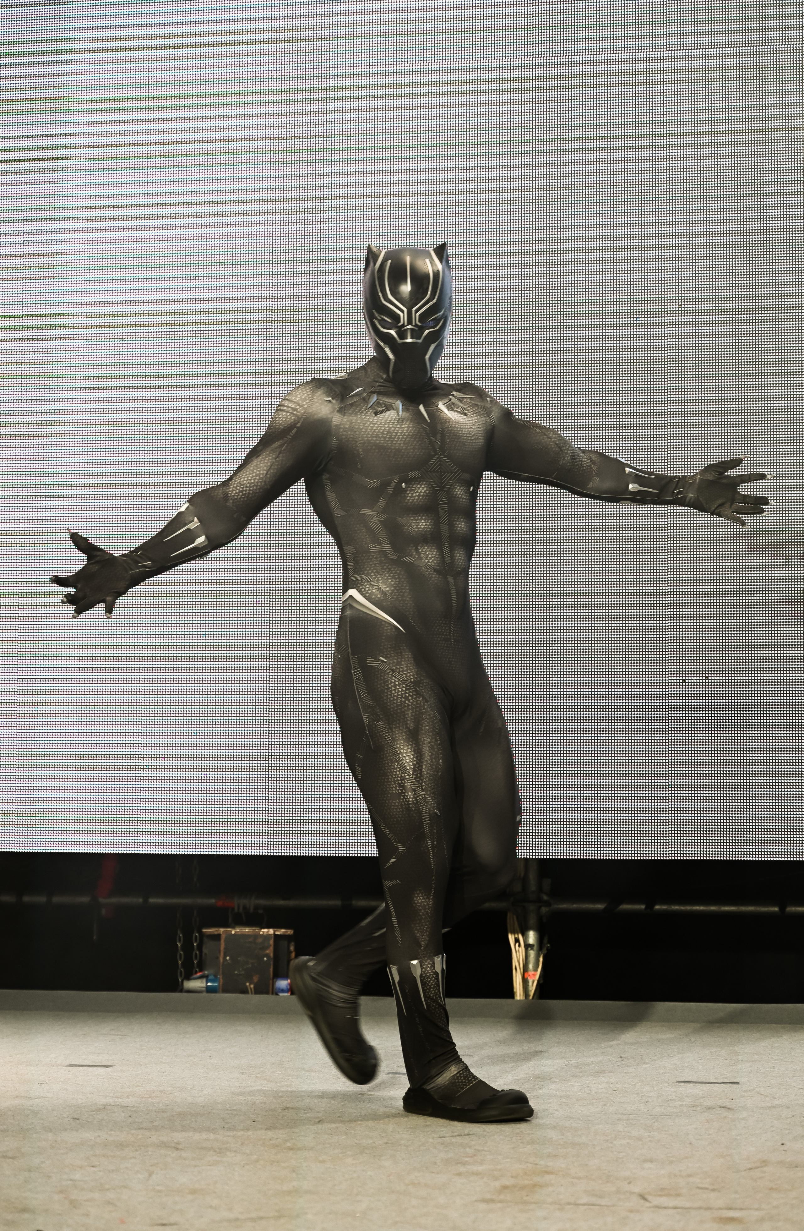 Эпик кон. Свадебный и семейный фотограф Максим Сорокин