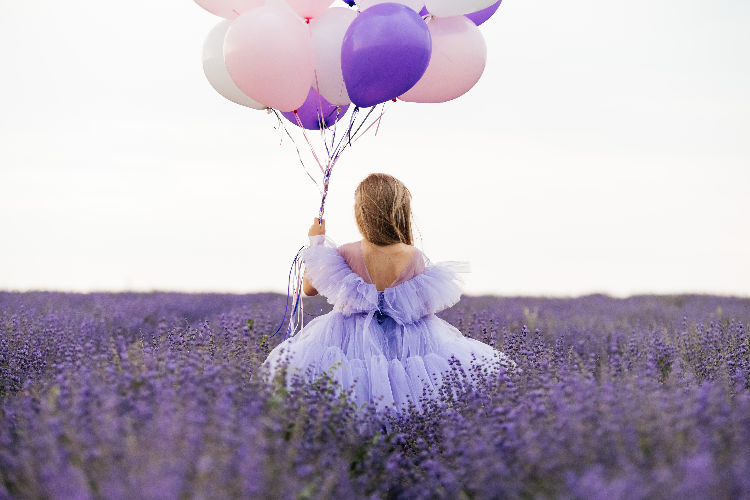 Лаванда. Свадебный и семейный фотограф Максим Сорокин