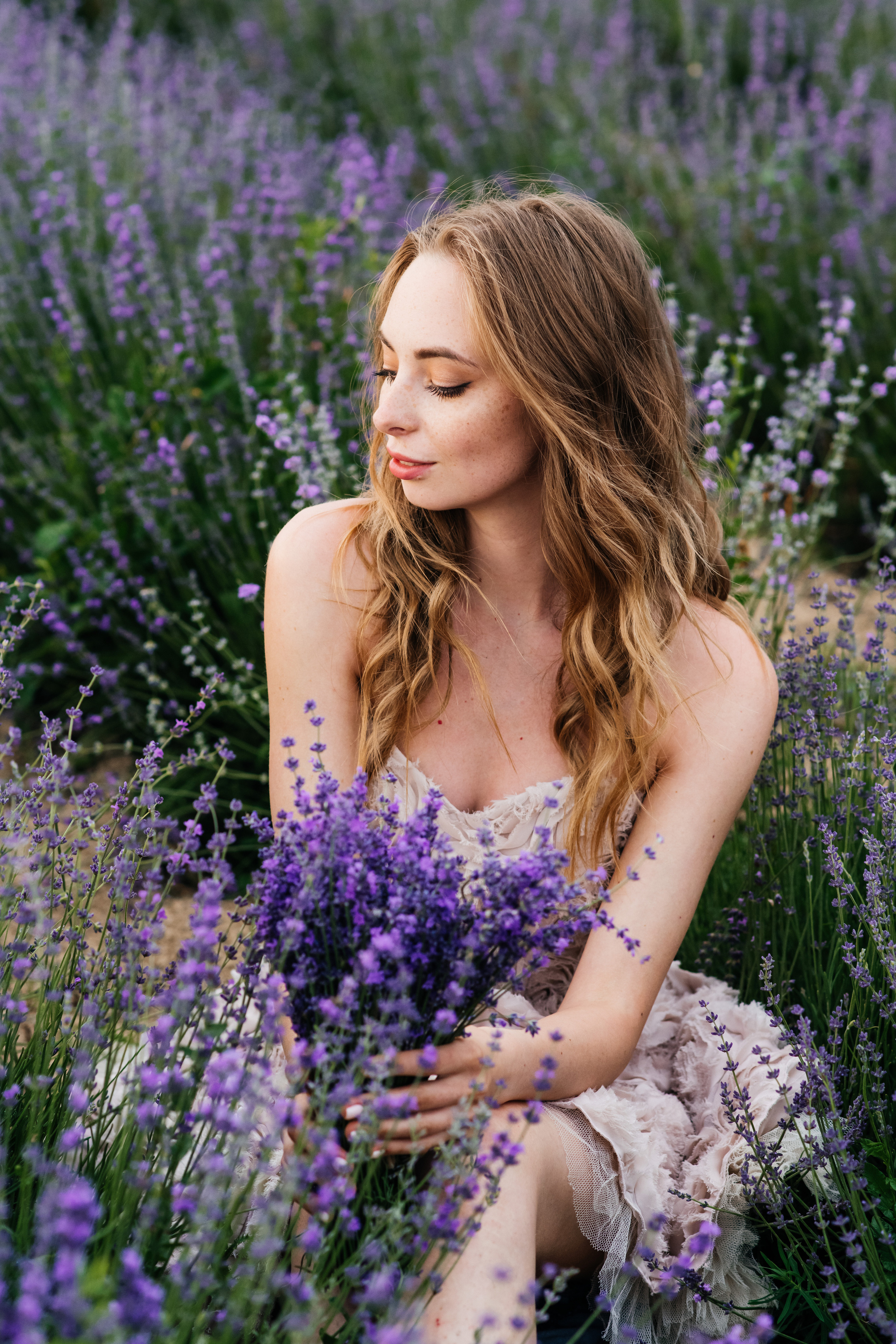 Лаванда. Свадебный и семейный фотограф Максим Сорокин