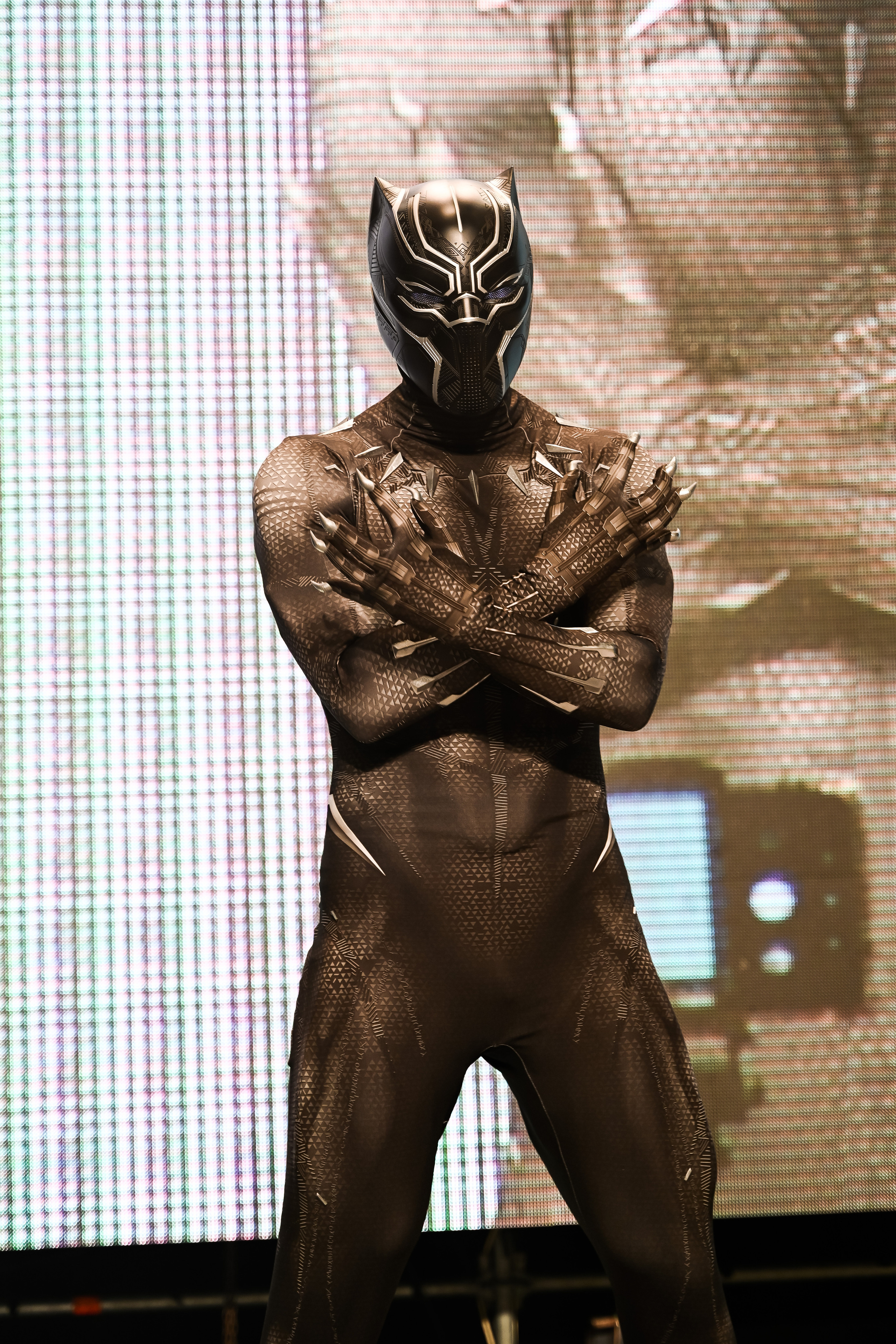 Эпик кон. Свадебный и семейный фотограф Максим Сорокин